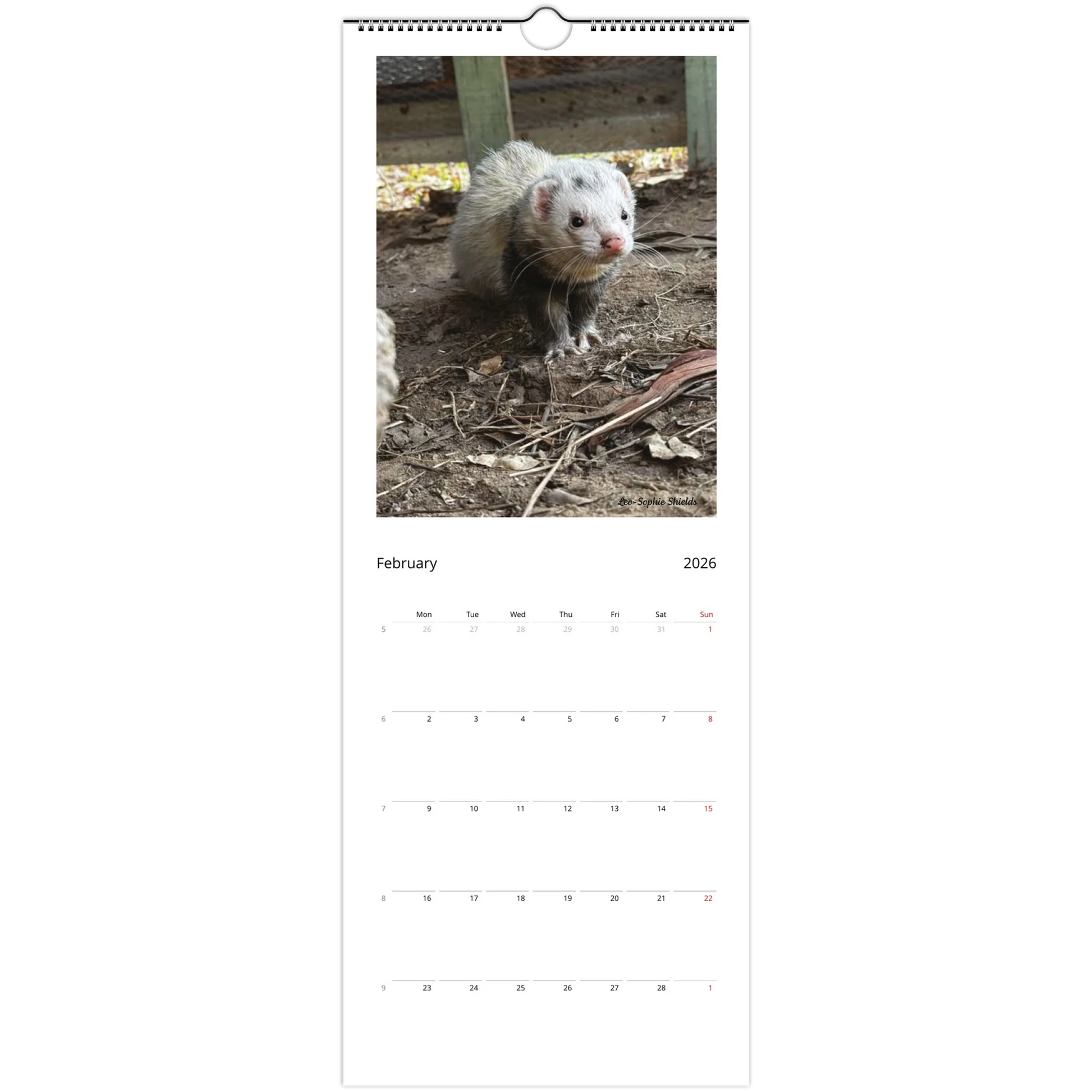 059018cf-49b9-461f-8862-dbcd9d09d117