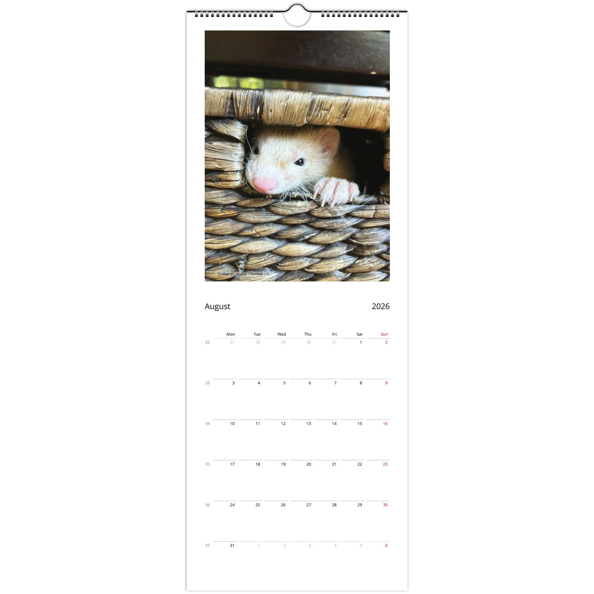 0d2b2a6e-78b5-4b17-b03d-6ddcb4e640a6