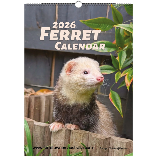 2026 Ferret Owners Australia Calendar