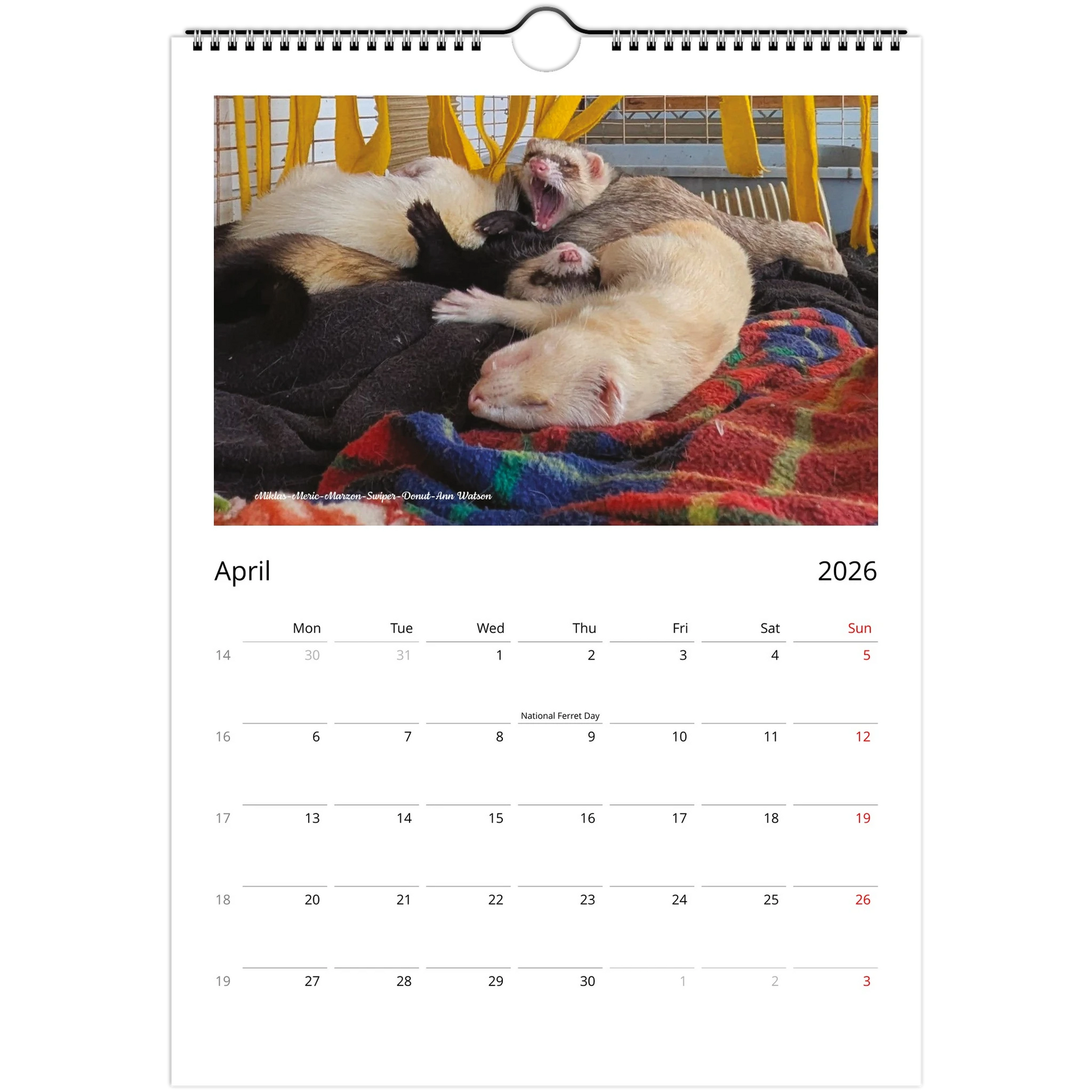2026 Ferret Owners Australia Calendar