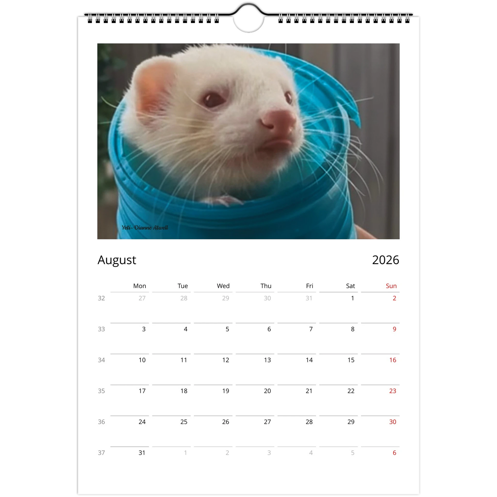 2026 Ferret Owners Australia Calendar