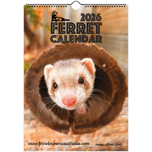 2026 Ferret Owners Australia Calendar