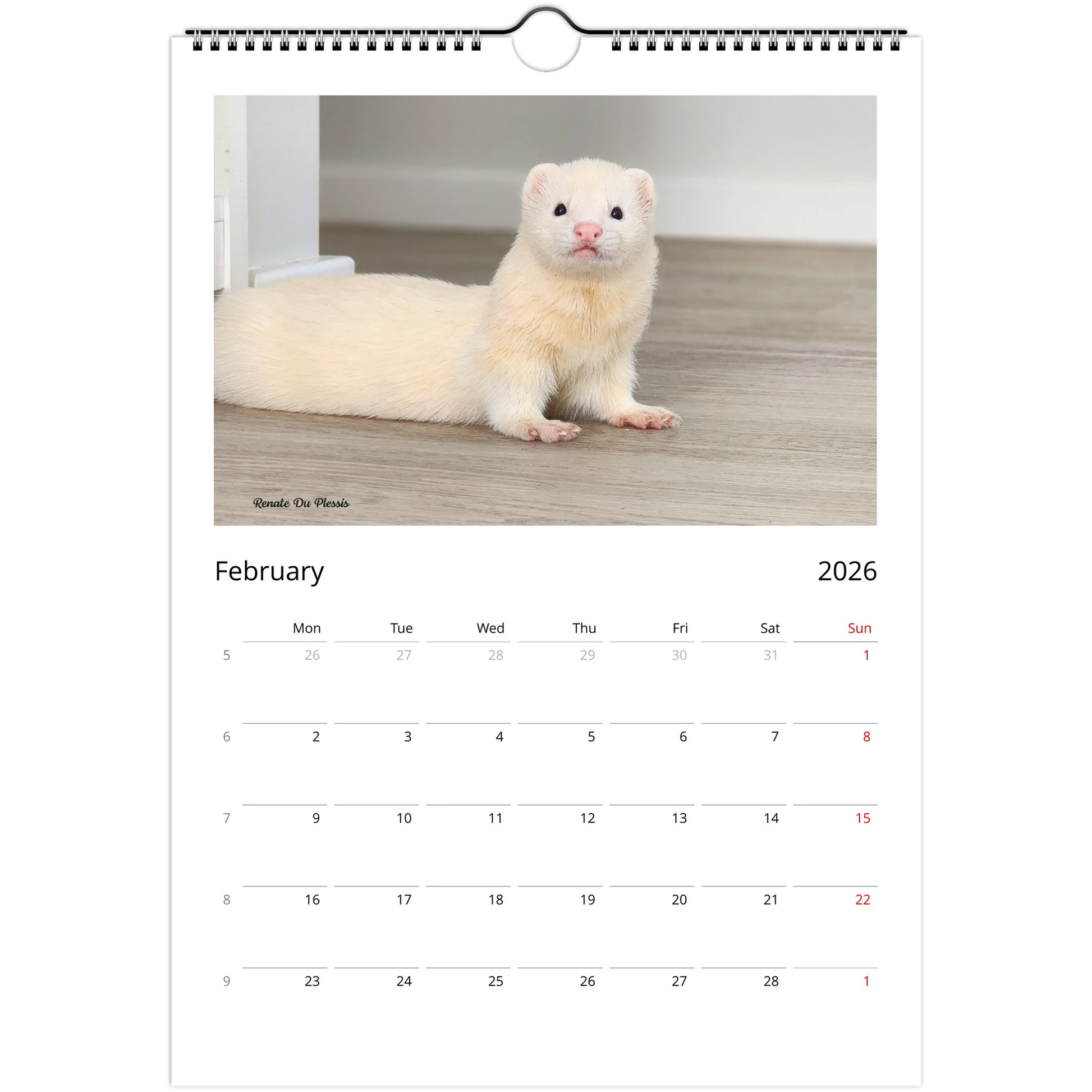 2026 Ferret Owners Australia Calendar