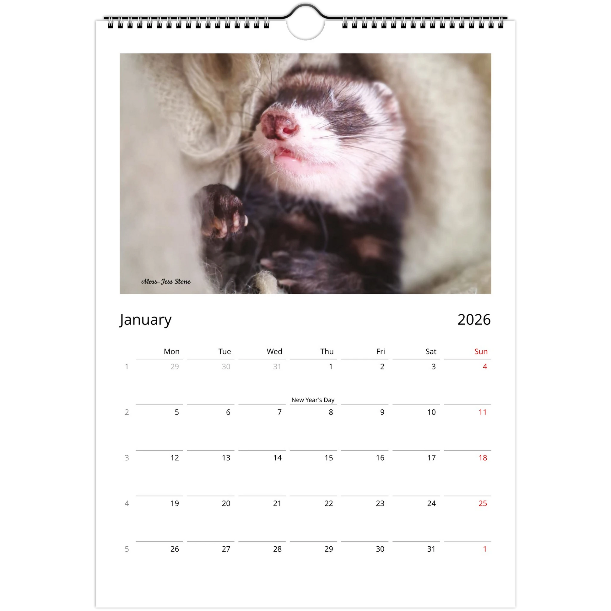 2026 Ferret Owners Australia Calendar