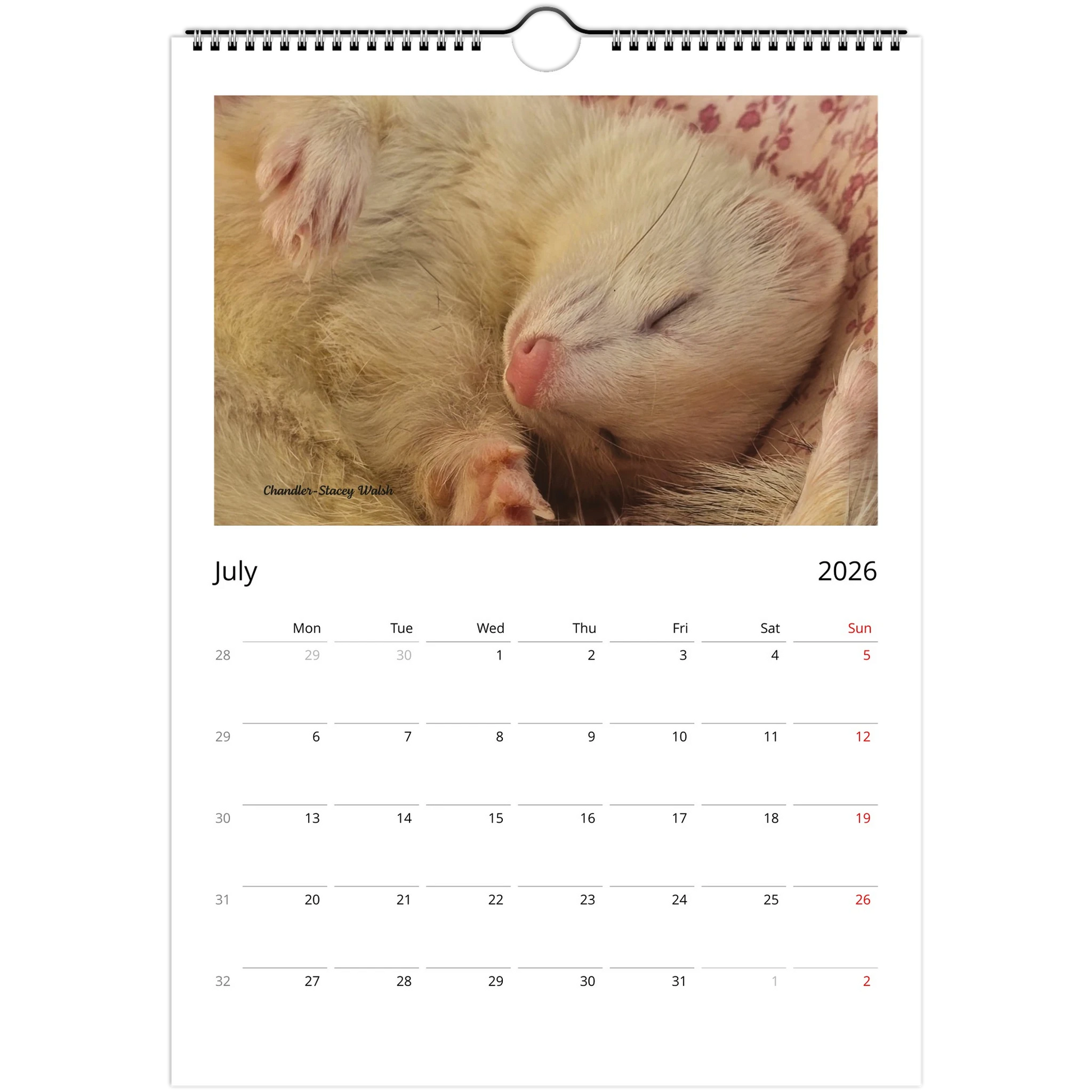 2026 Ferret Owners Australia Calendar