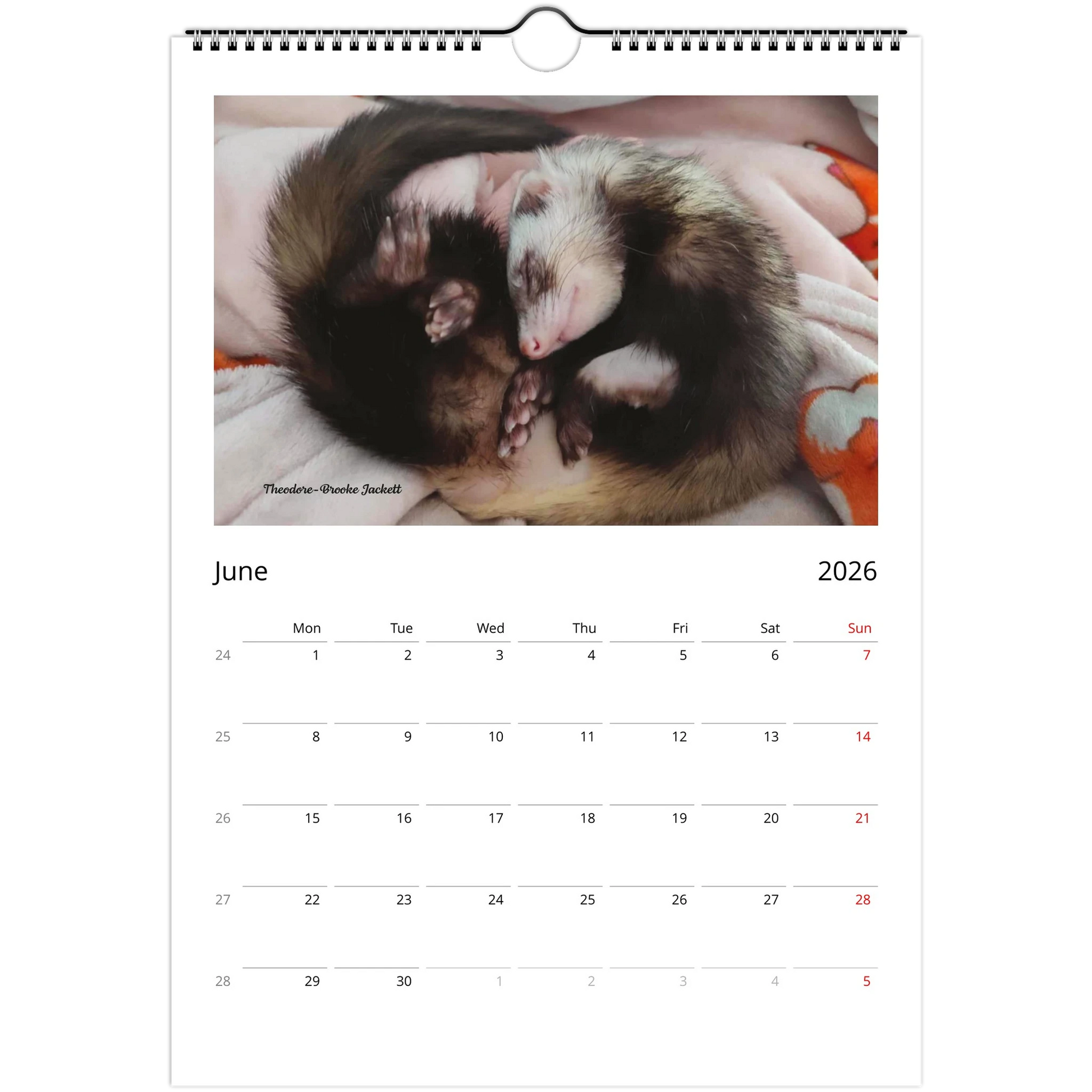 2026 Ferret Owners Australia Calendar