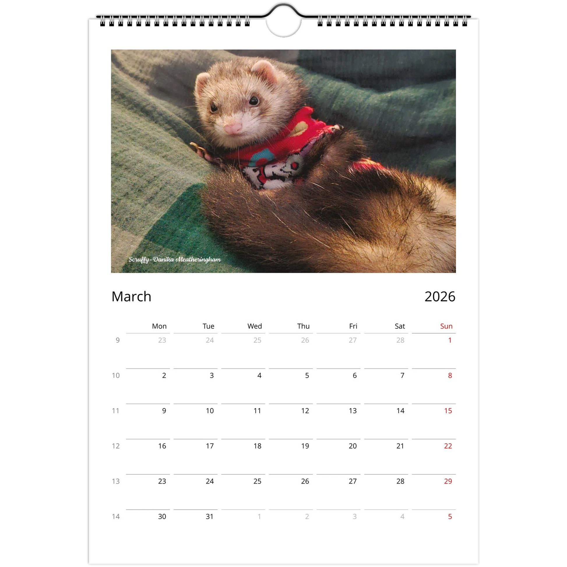 2026 Ferret Owners Australia Calendar