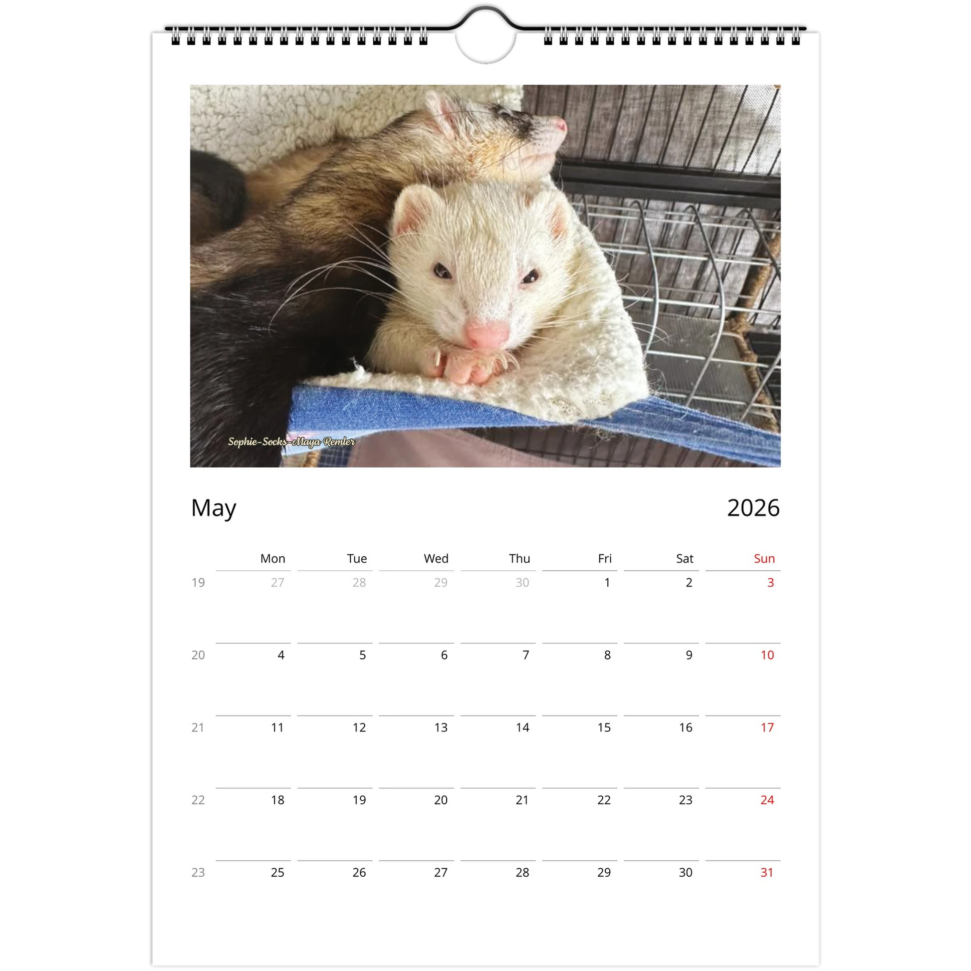 2026 Ferret Owners Australia Calendar