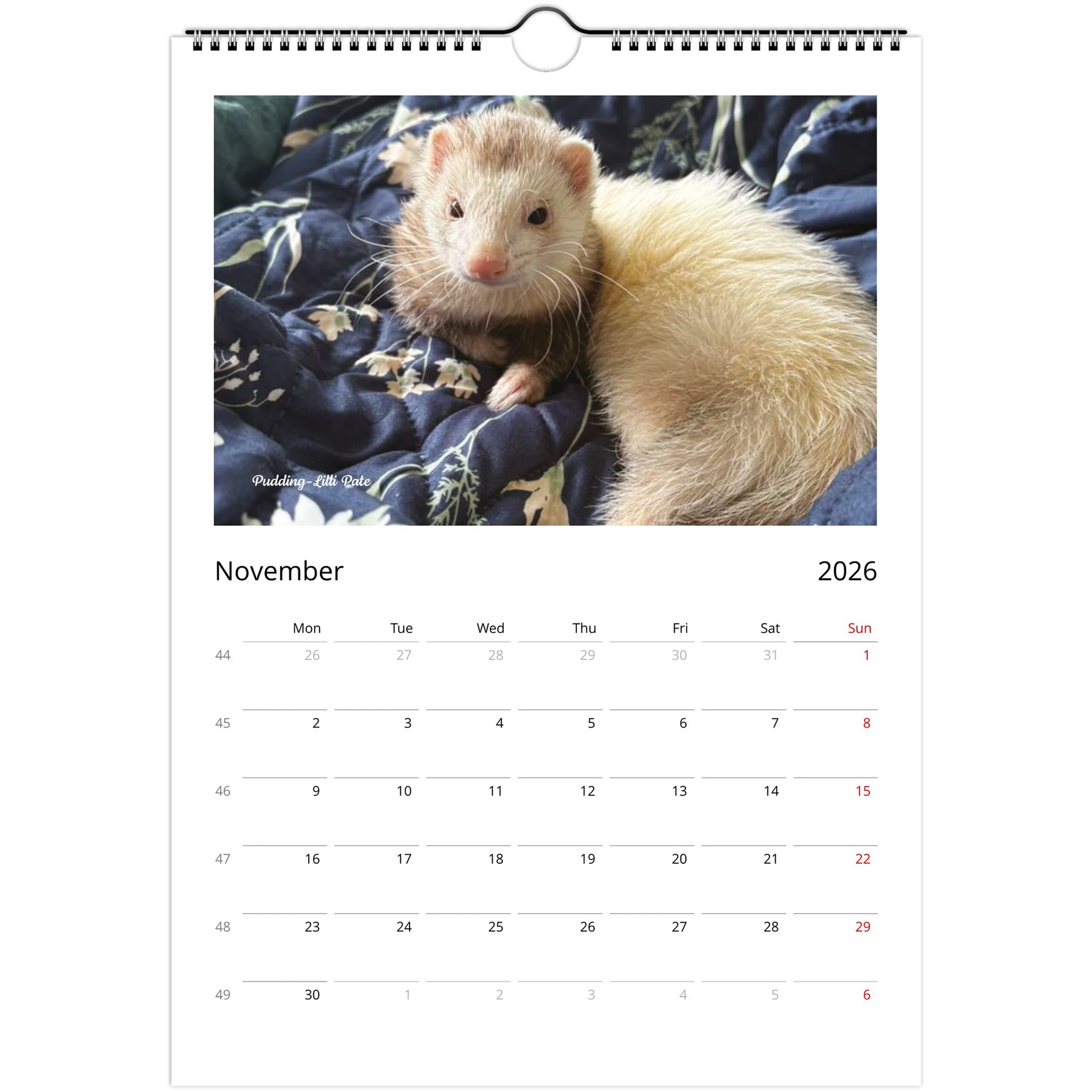 2026 Ferret Owners Australia Calendar