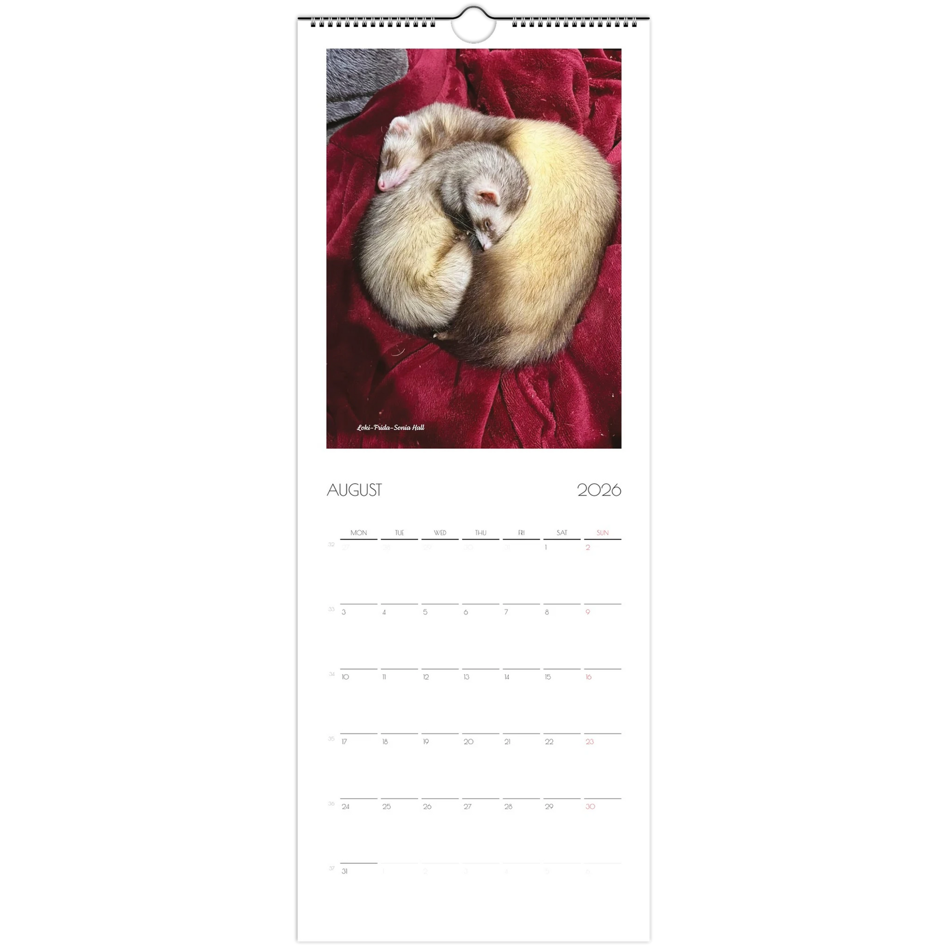 2026 Ferret Owners Australia Calendar