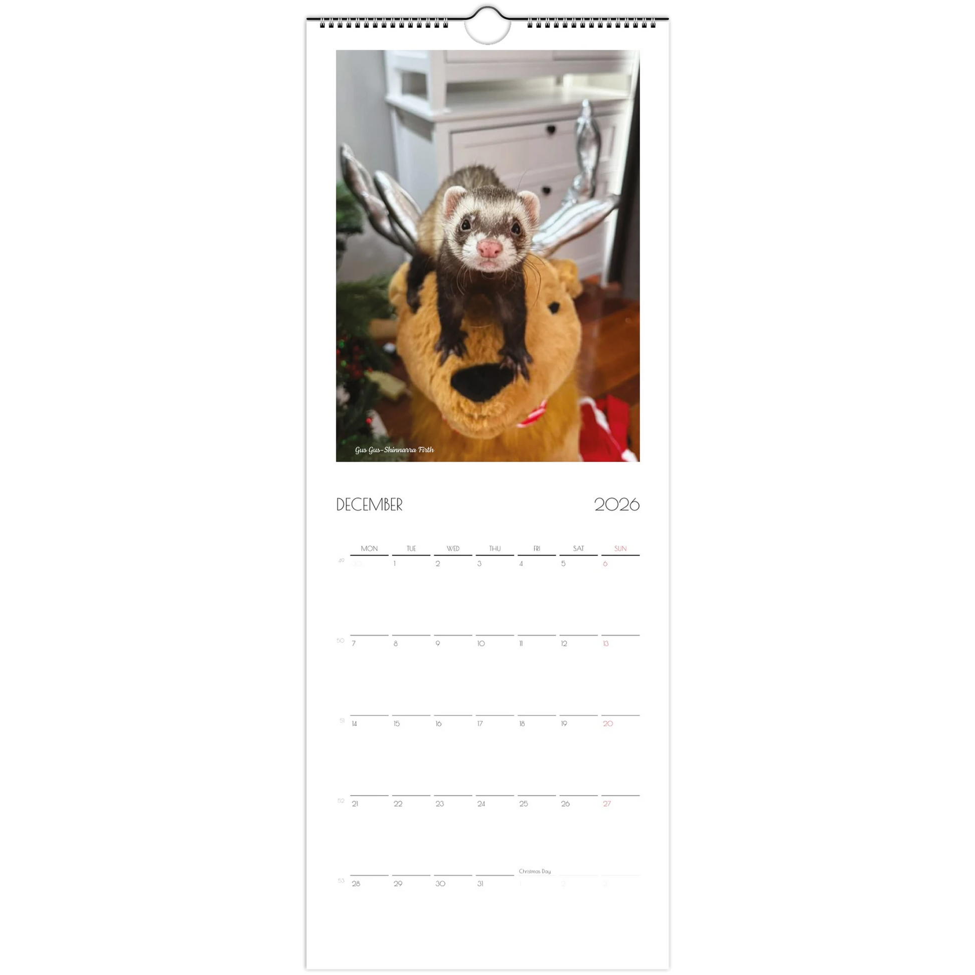 2026 Ferret Owners Australia Calendar