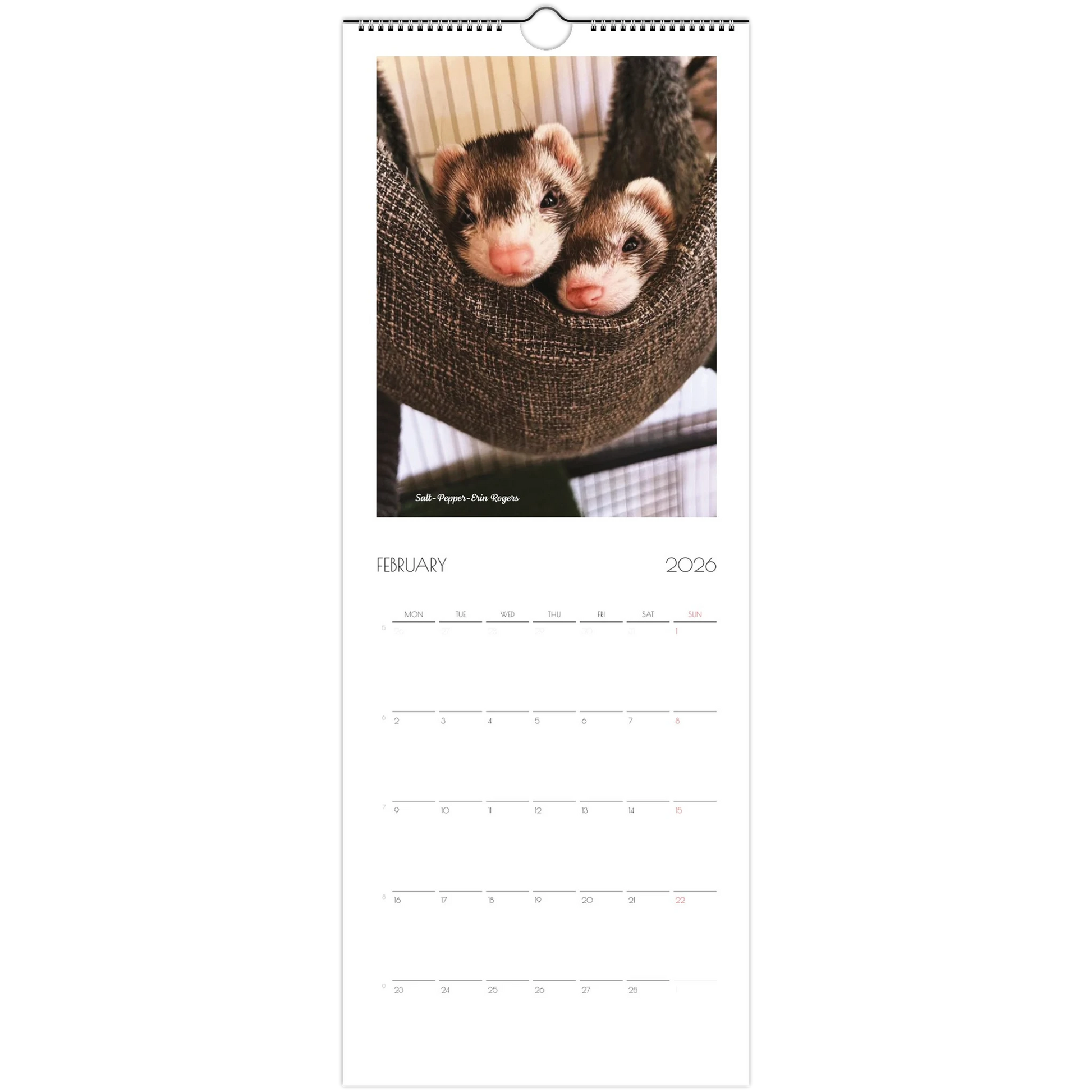 2026 Ferret Owners Australia Calendar