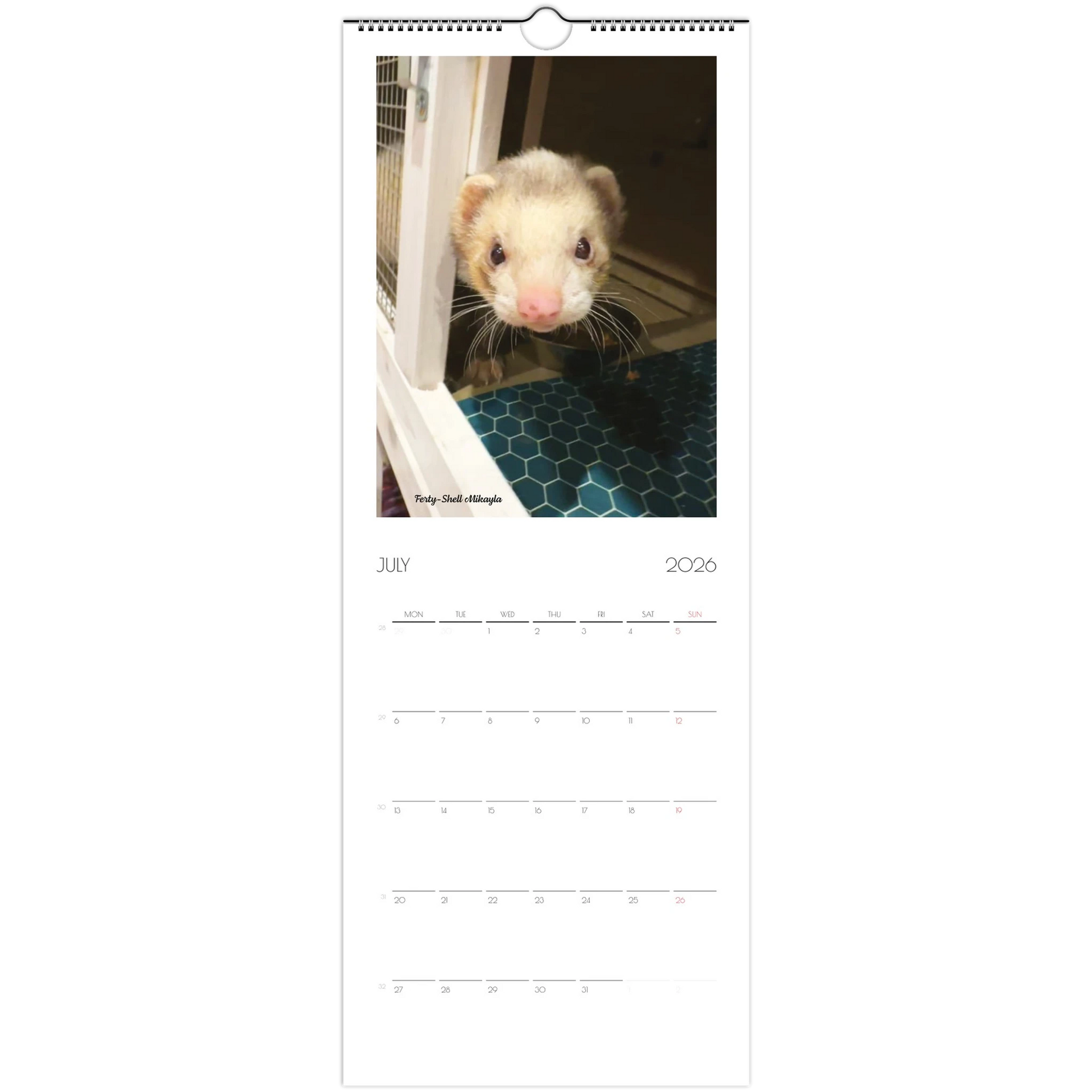 2026 Ferret Owners Australia Calendar