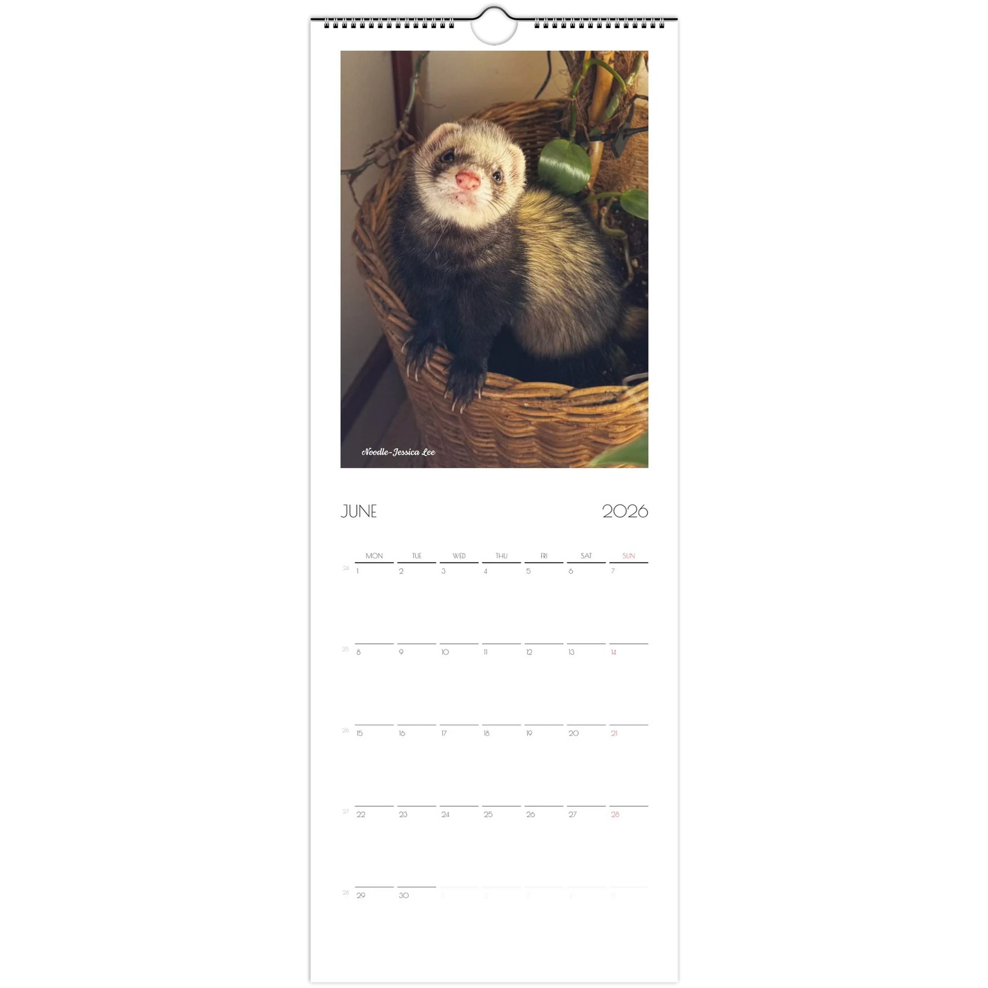 2026 Ferret Owners Australia Calendar
