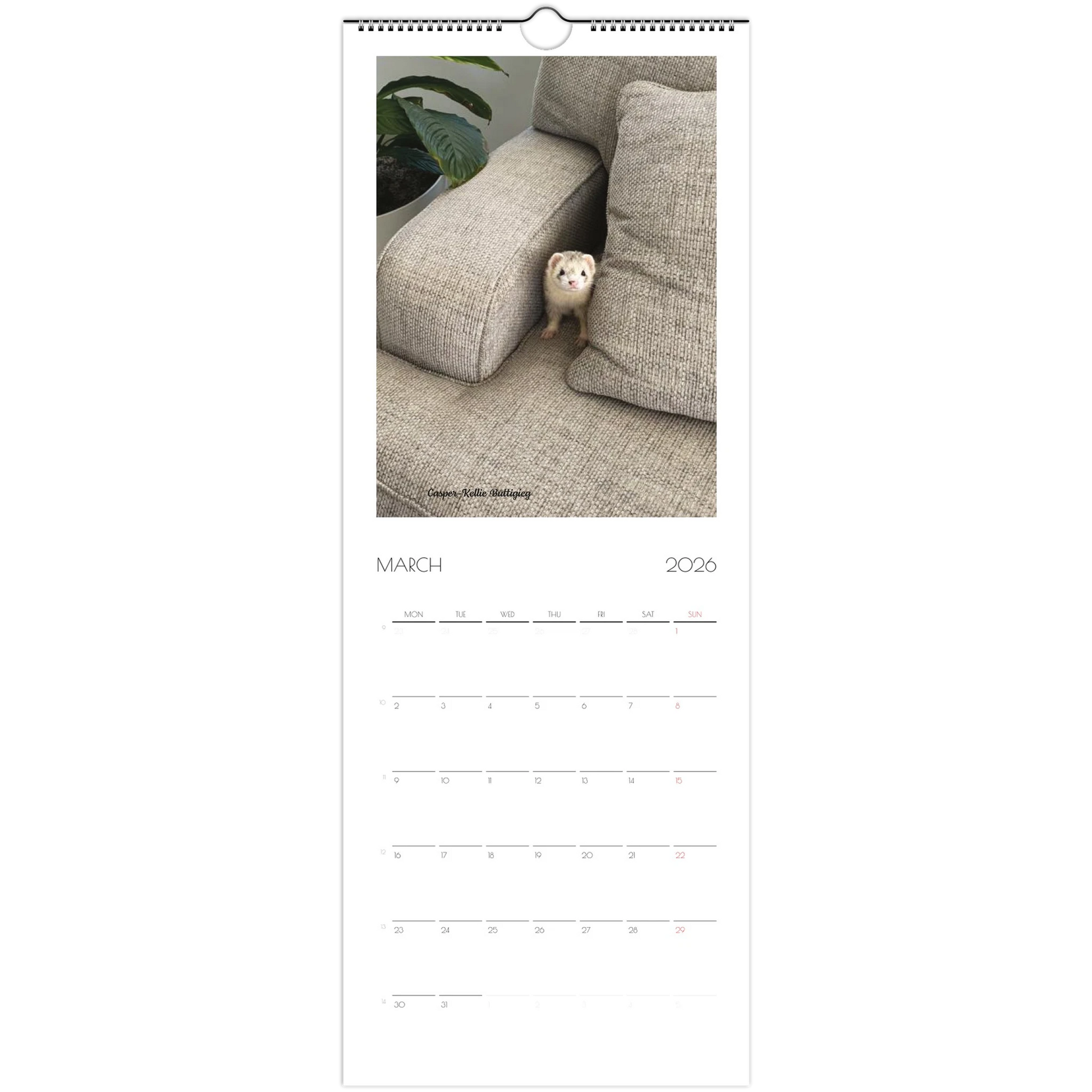 2026 Ferret Owners Australia Calendar