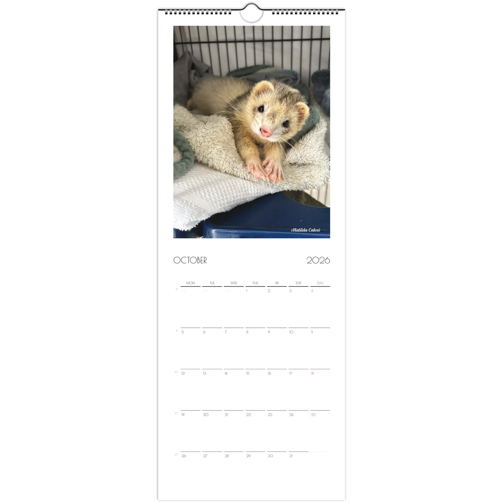 2026 Ferret Owners Australia Calendar
