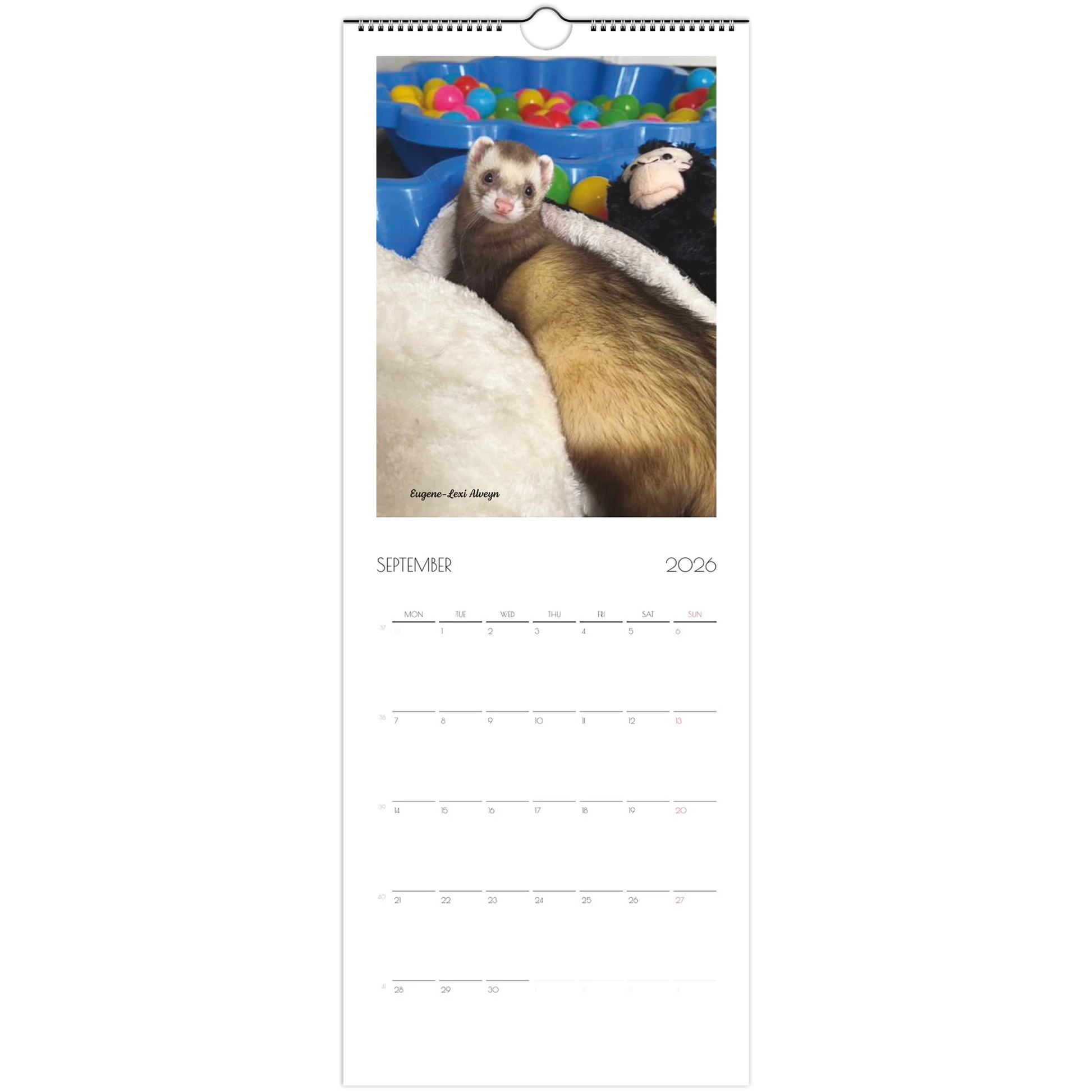 2026 Ferret Owners Australia Calendar