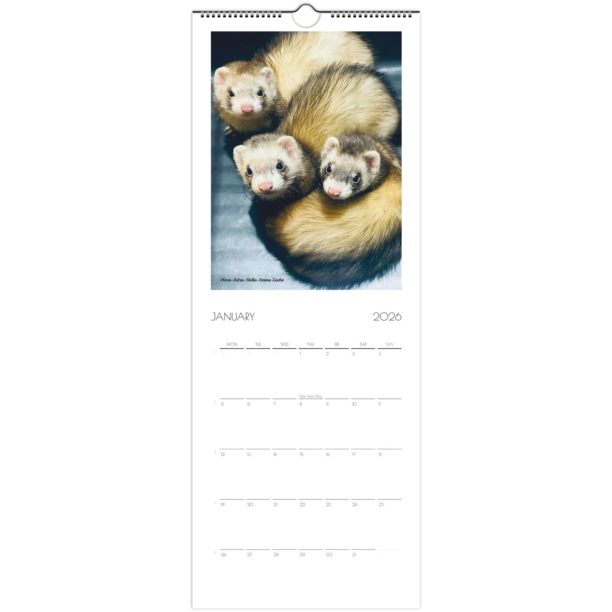 2026 Ferret Owners Australia Calendar