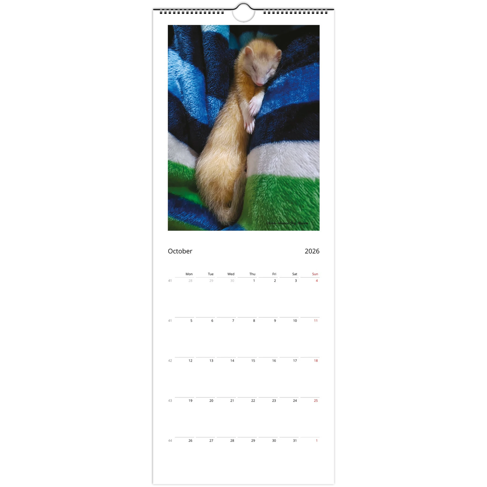 2cebe119-794c-4990-a5e8-cfc7cf046d17