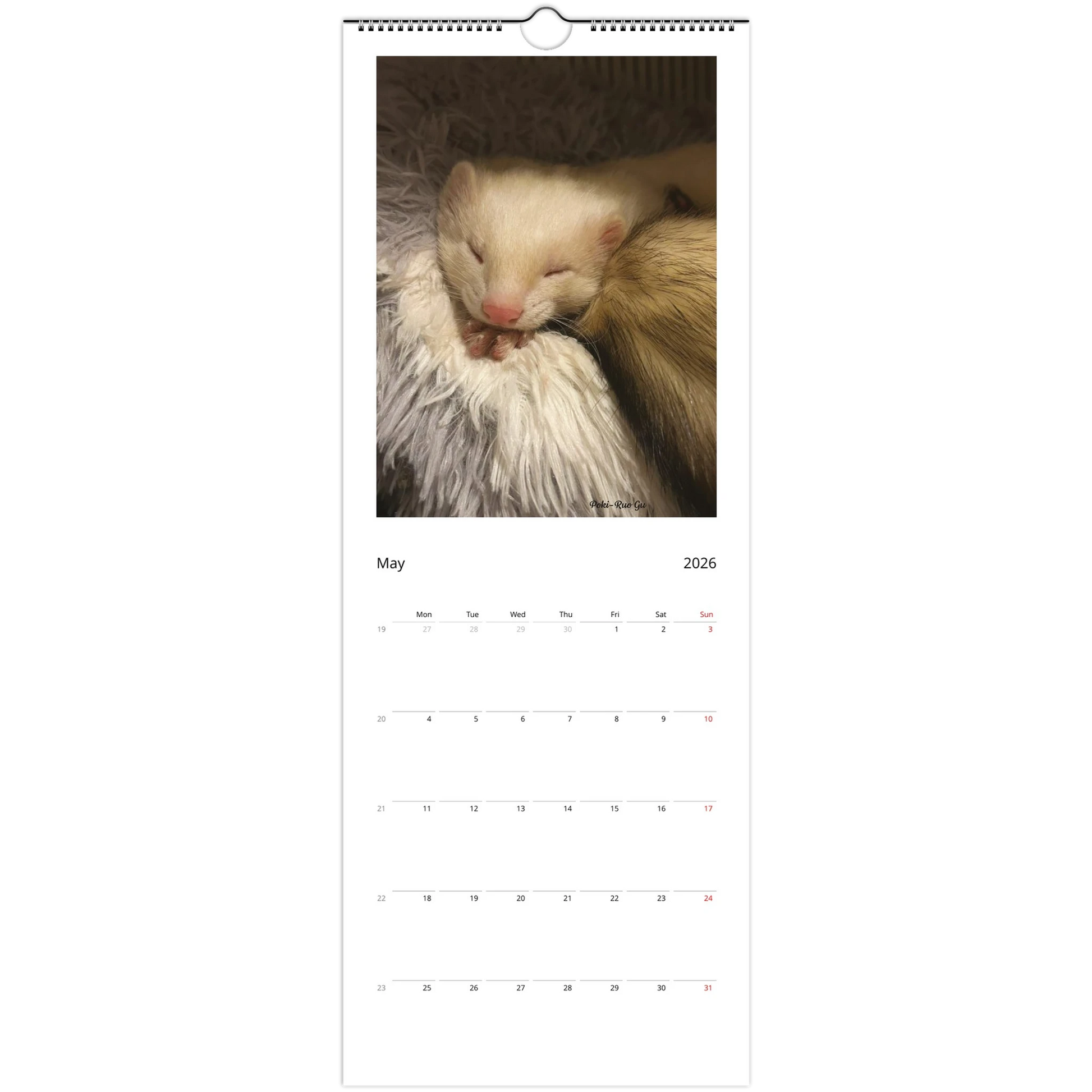 437433c2-3f5f-4dab-ace7-8d374bce1c99