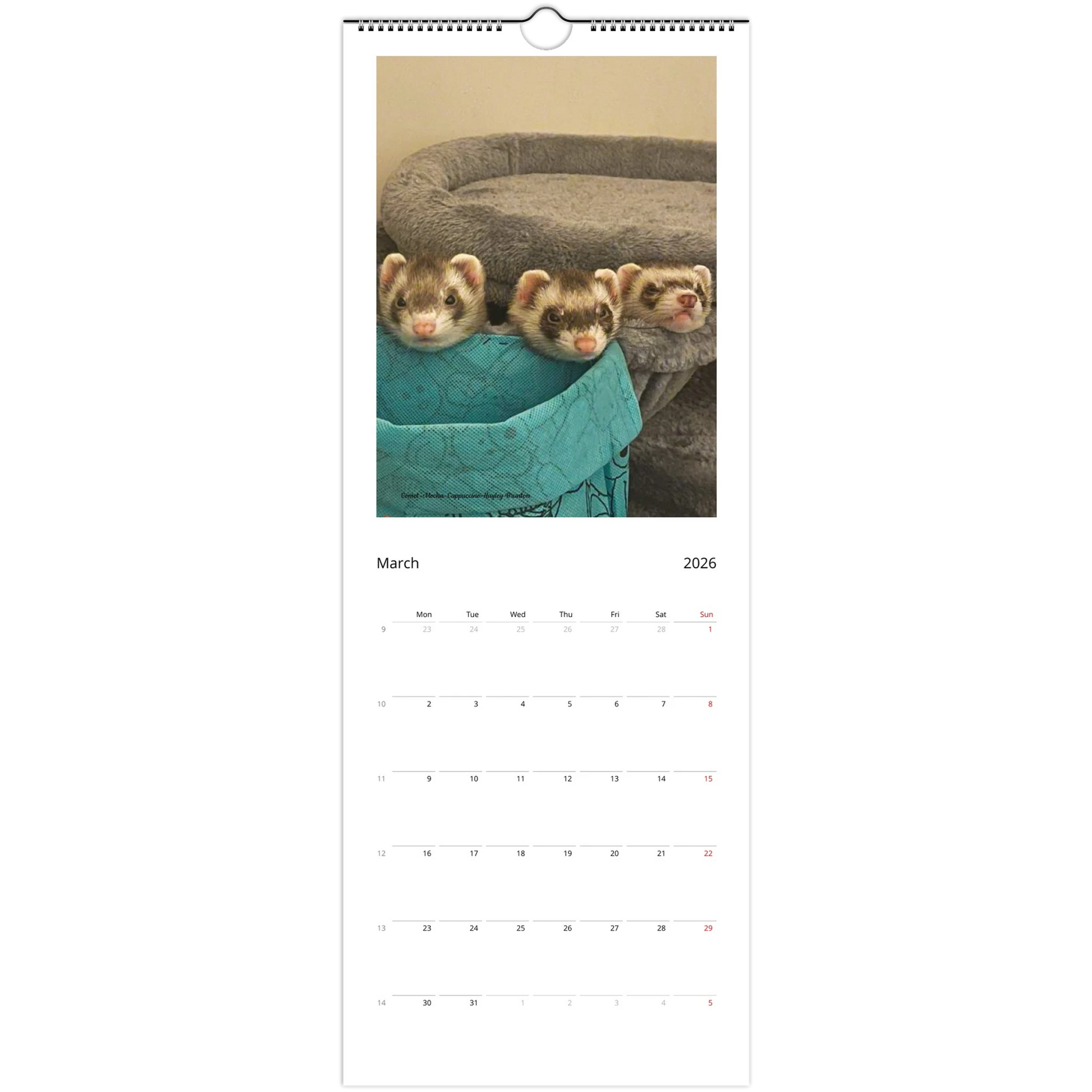 7ae3b298-5199-44f0-807a-2d94596c73ac