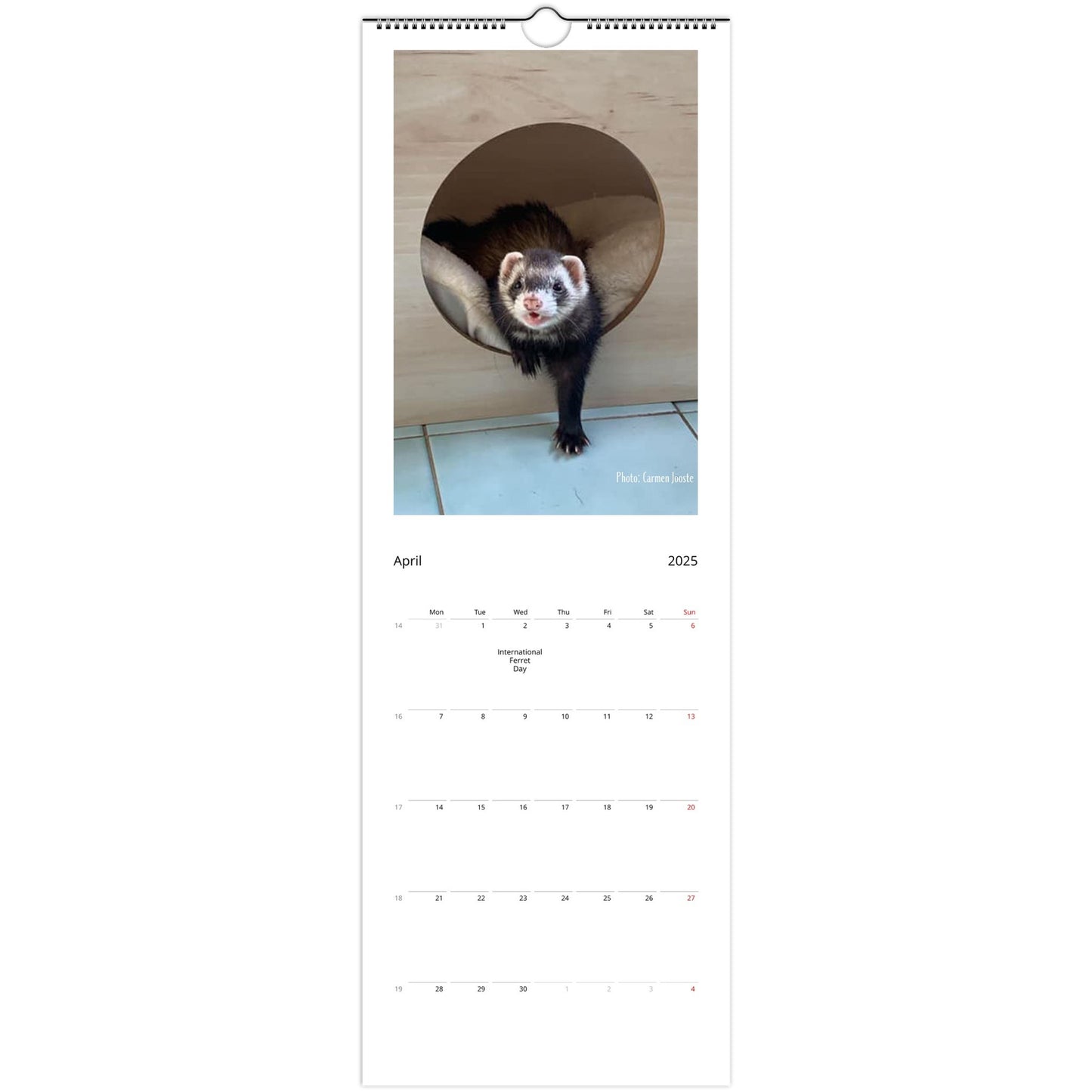 Ferret Wall Calendar 2025 April