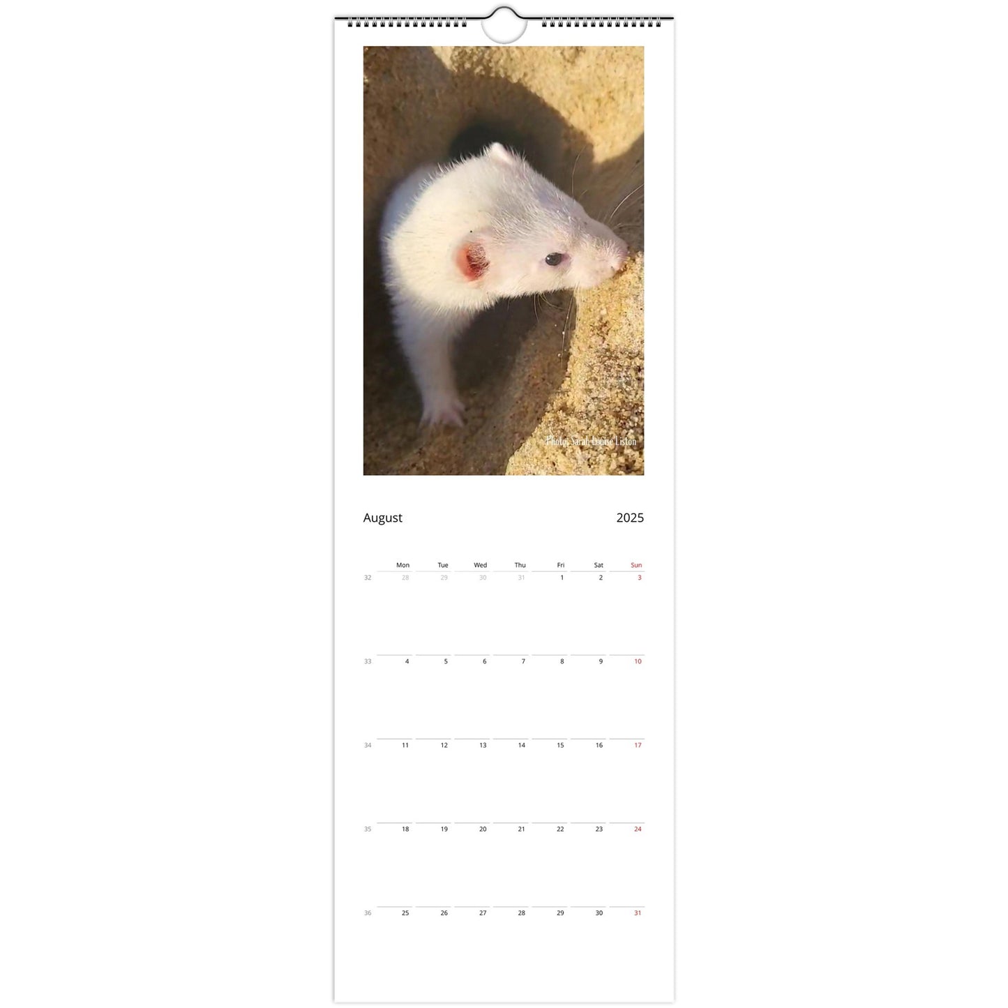 2Ferret Wall Calendar 2025 August