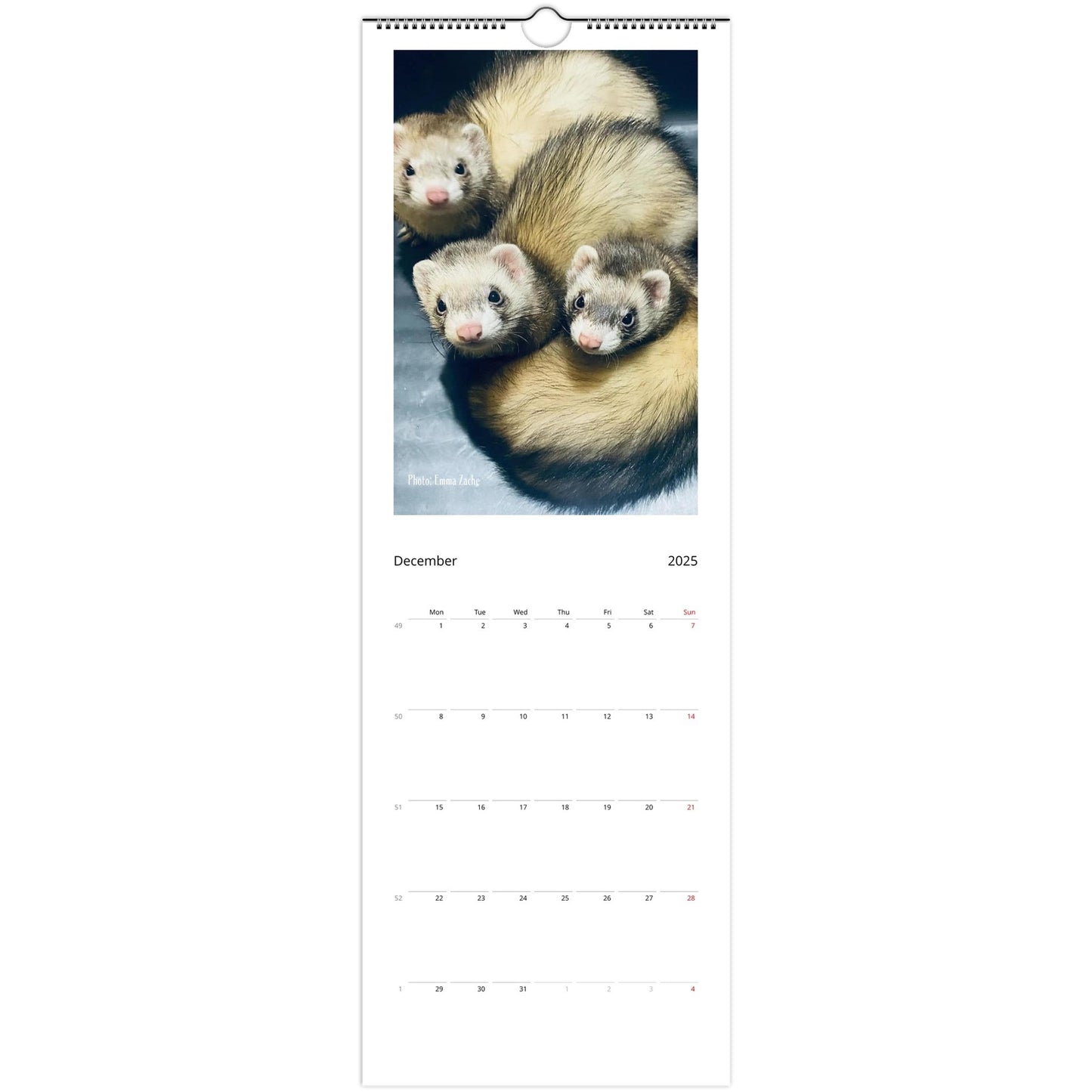 Ferret Wall Calendar 2025 December