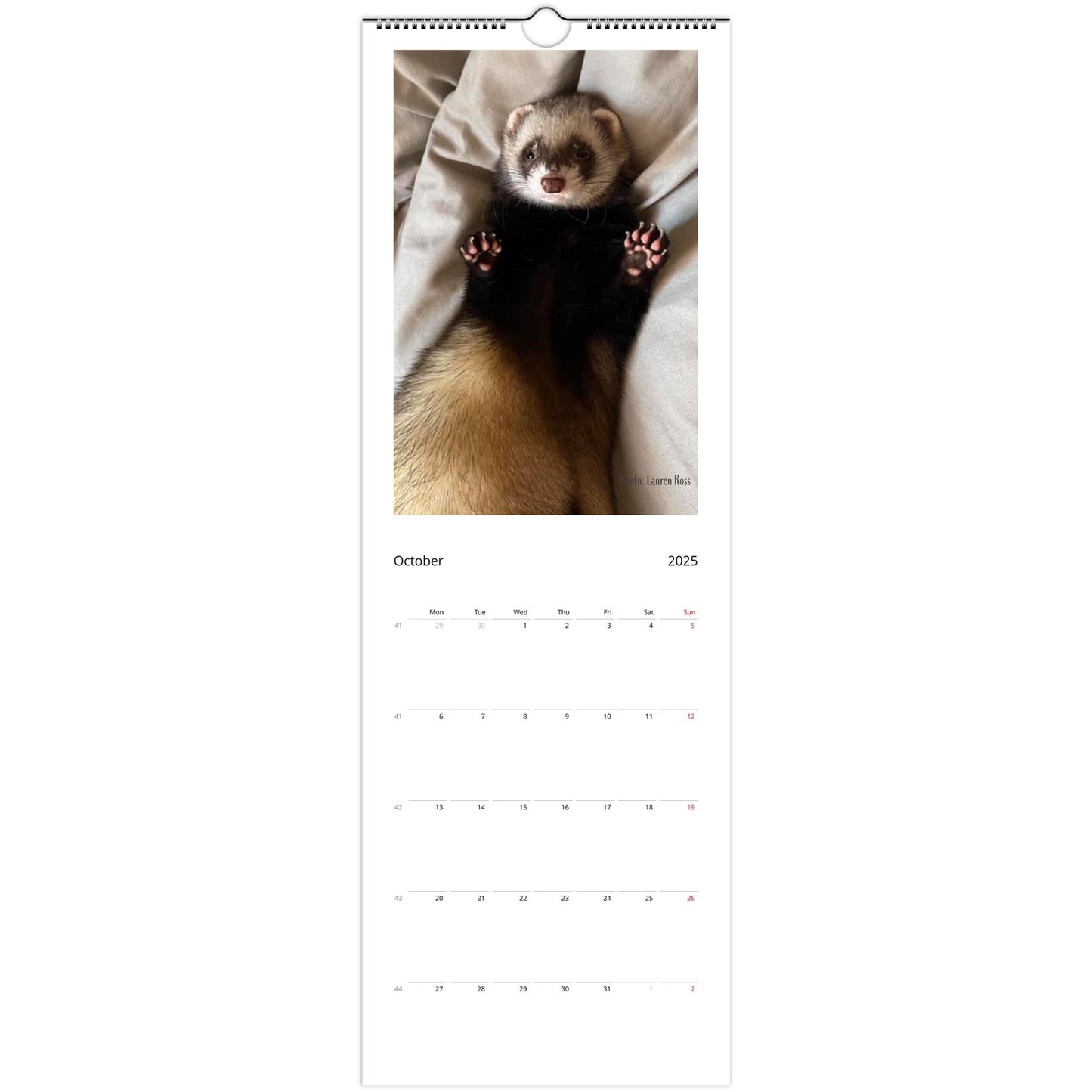Ferret Wall Calendar 2025 October