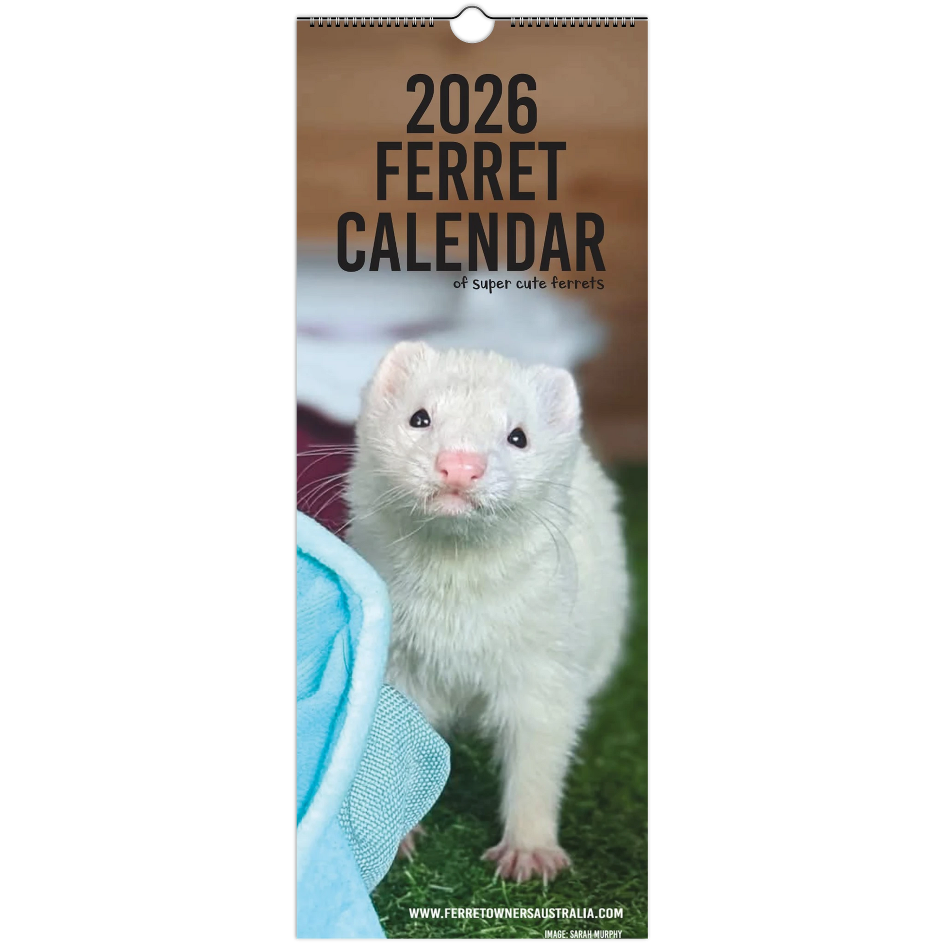 b3704bef-a26b-4eec-8644-acfe9d33a728