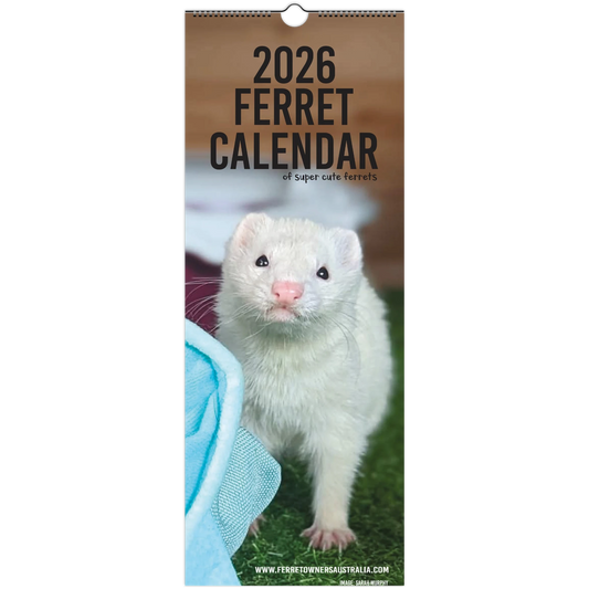 b3704bef-a26b-4eec-8644-acfe9d33a728