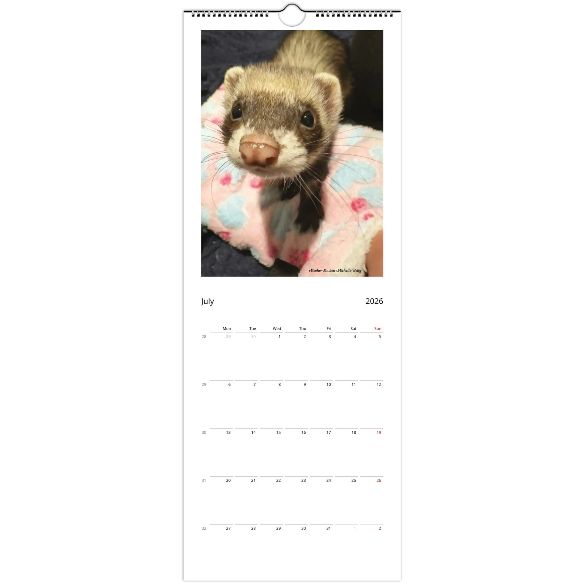 b8cff0b1-48a5-4411-8eca-bb89e4d9870c