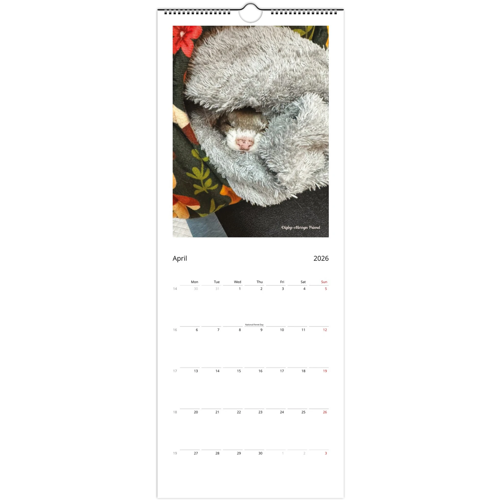 bd7195cc-c640-41fd-bc9a-1ec33f05cc2a