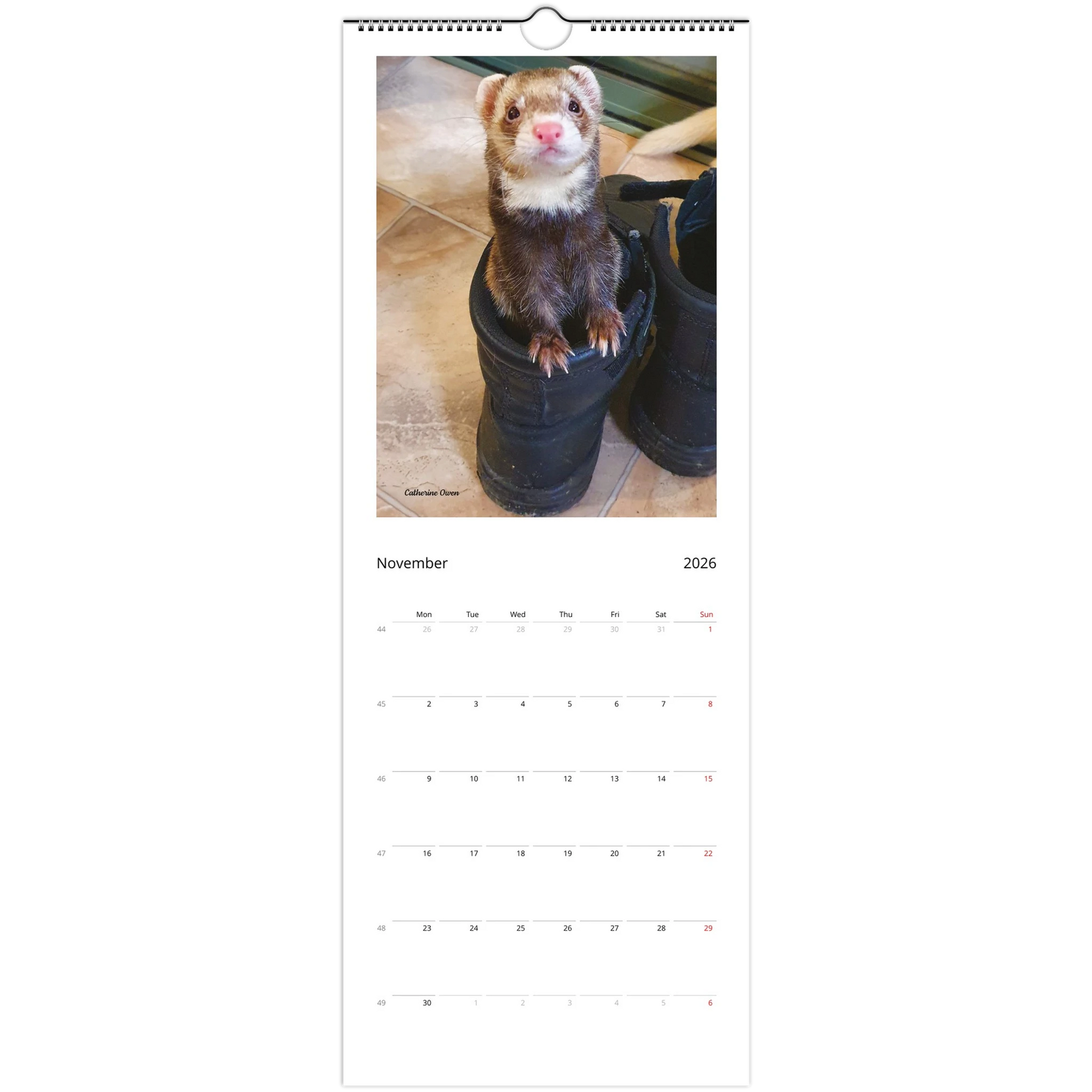 e6a470d8-de1d-4b25-b6e7-52a0b1353cf4