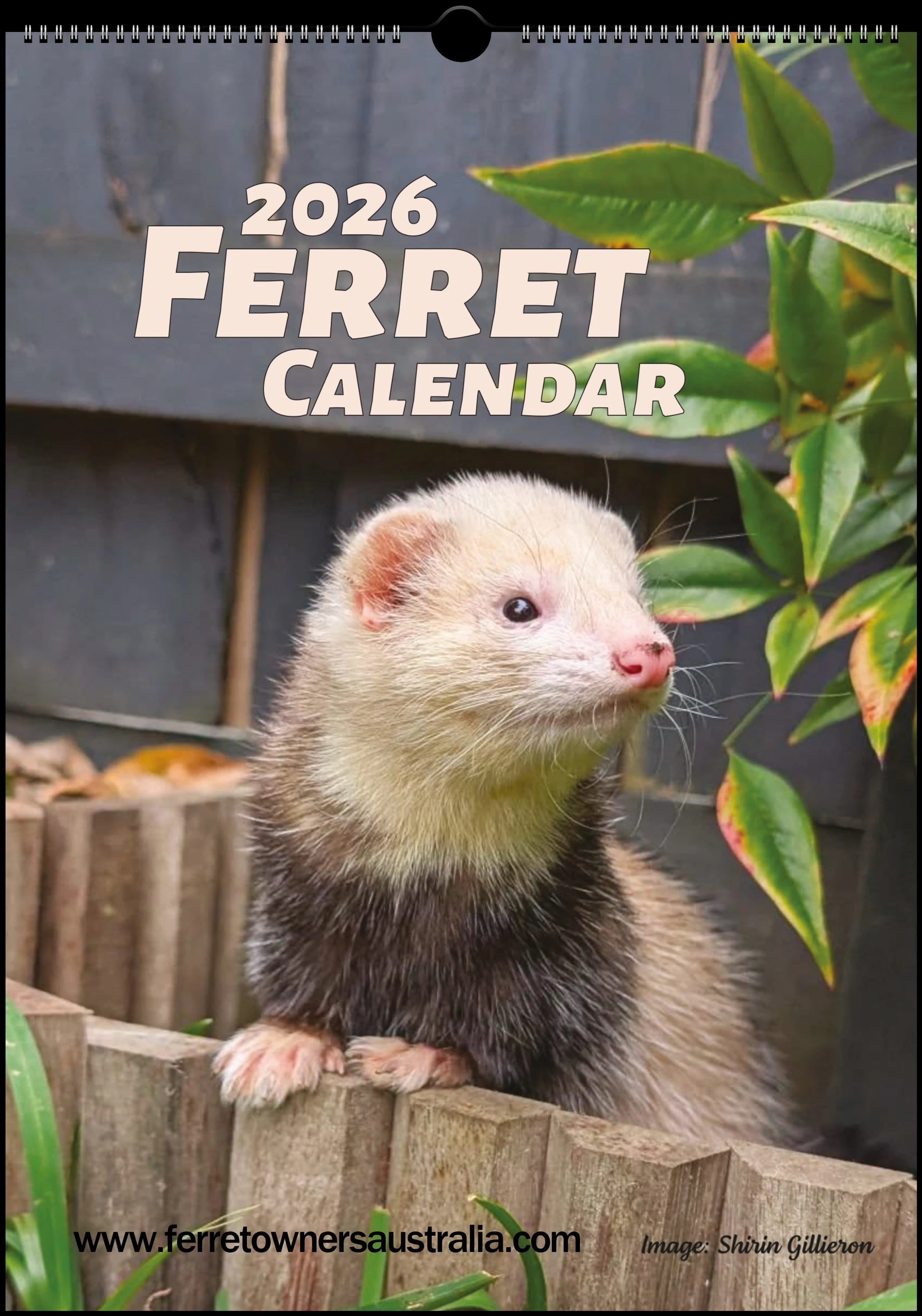 Ferret Owners Australia Ferret Calendar 2022 