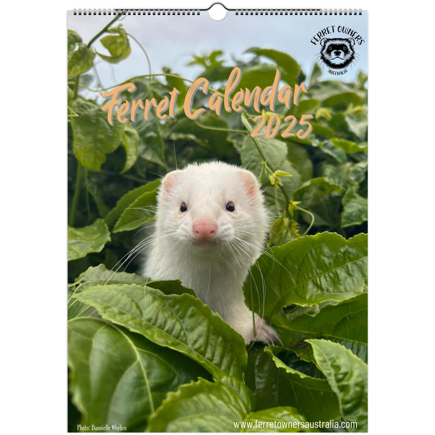 Ferret Calendar 2025 | Ferret Owners Australia
