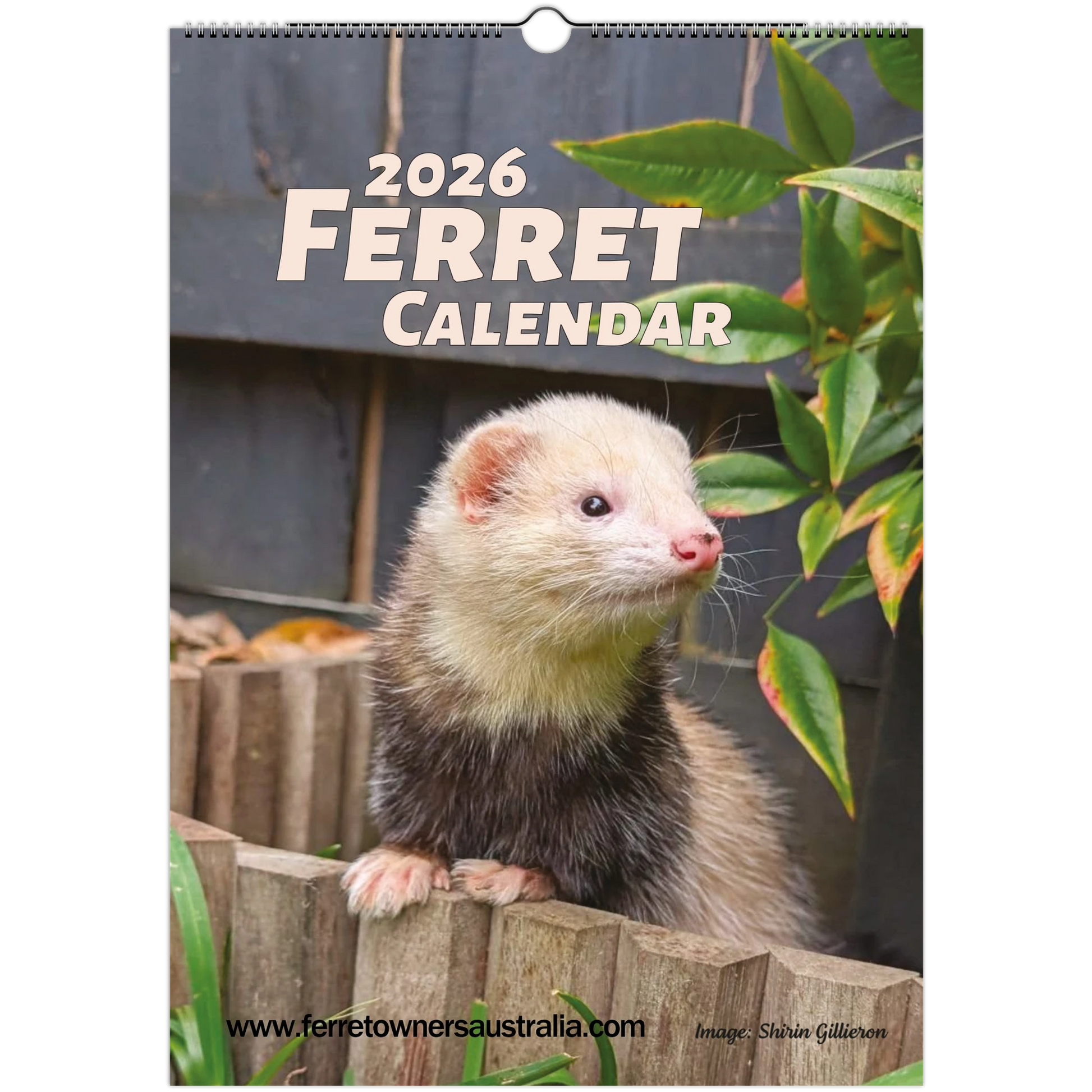 2026 Ferret Owners Australia Calendar