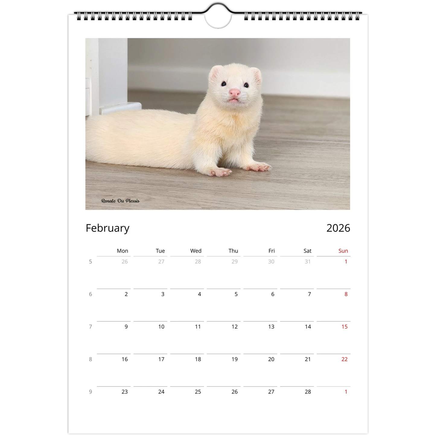 2026 Ferret Owners Australia Calendar