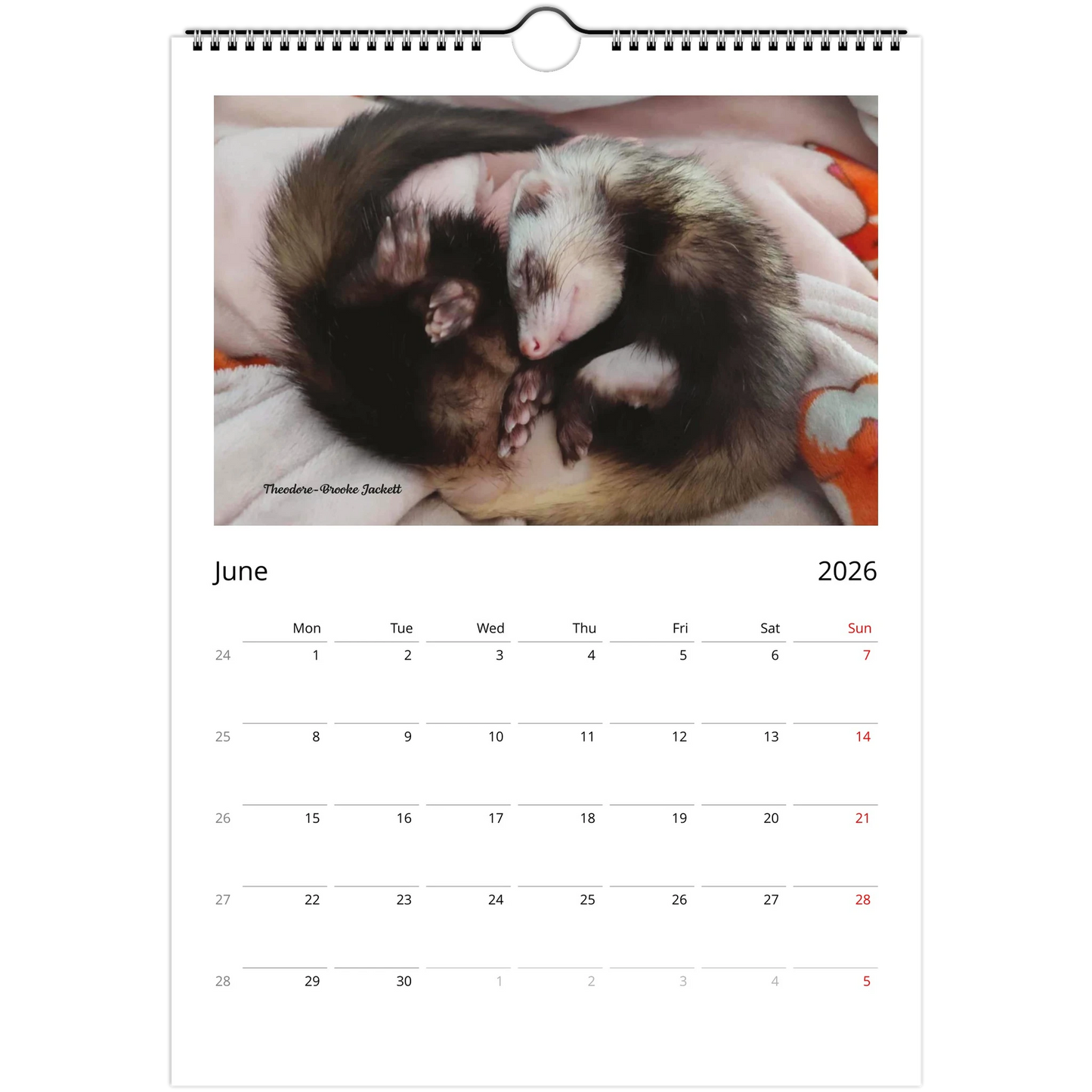 2026 Ferret Owners Australia Calendar