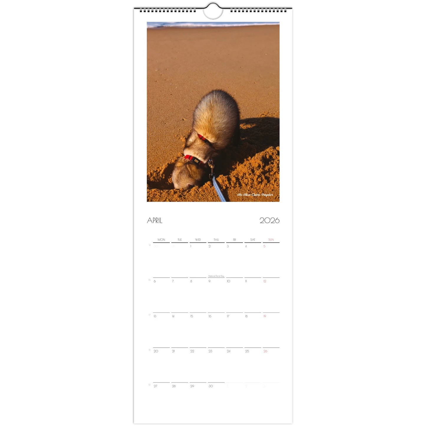 2026 Ferret Owners Australia Calendar