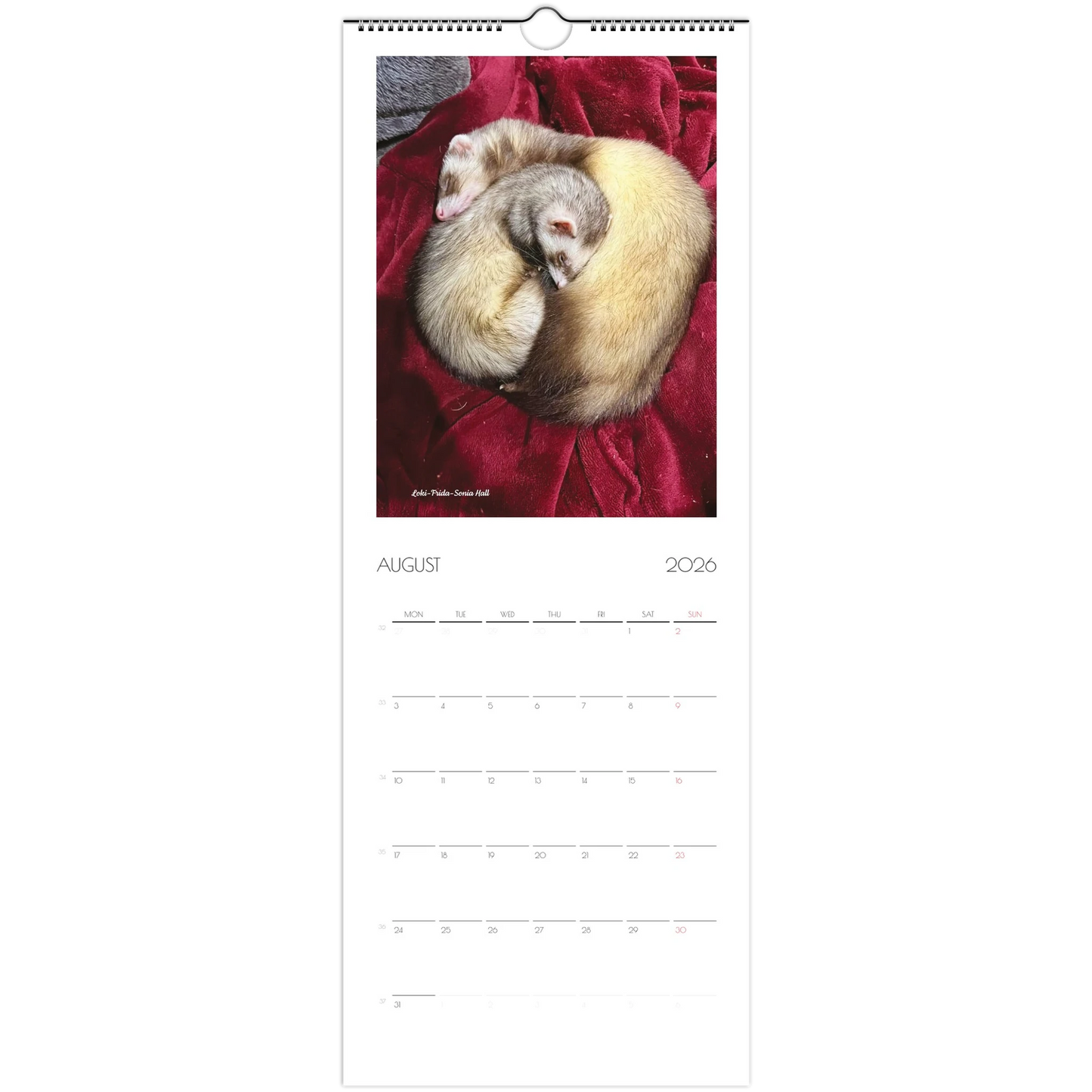 2026 Ferret Owners Australia Calendar