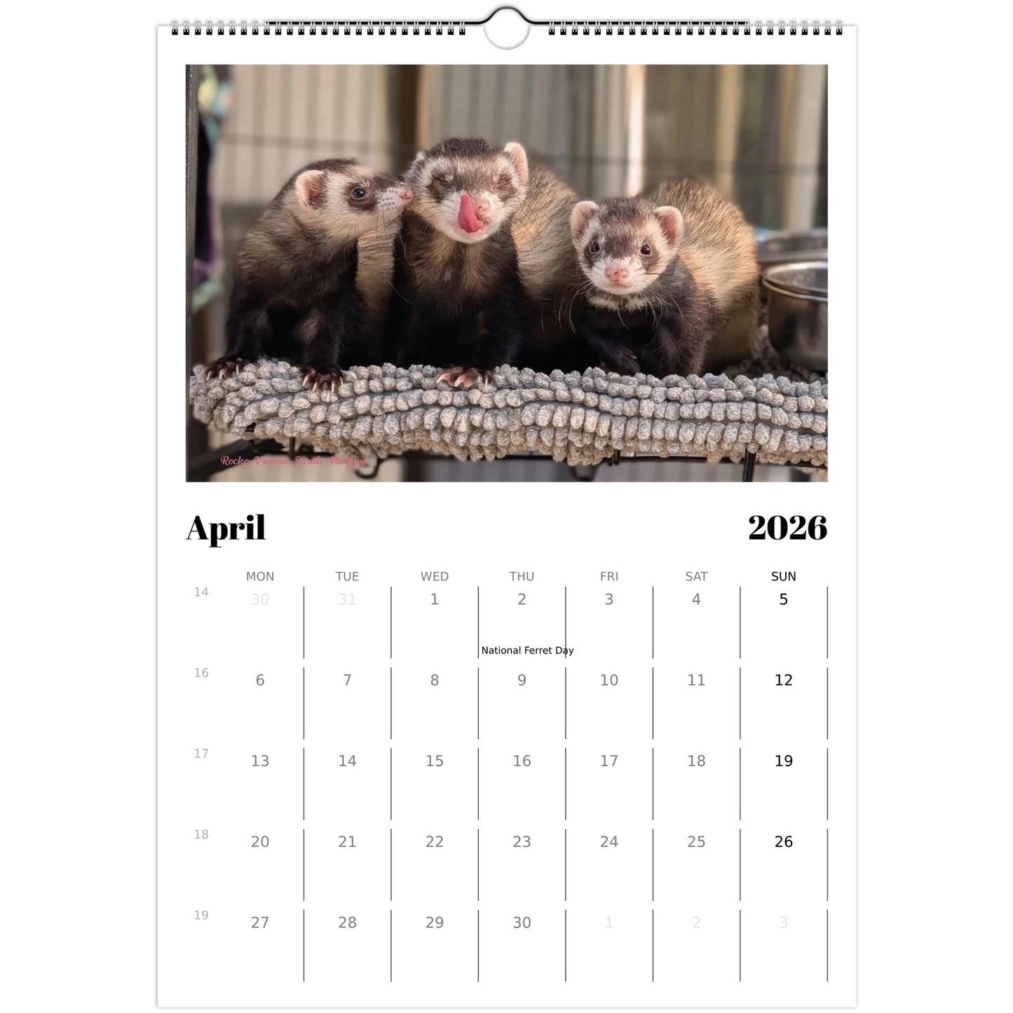 2026 Ferret Owners Australia Calendar