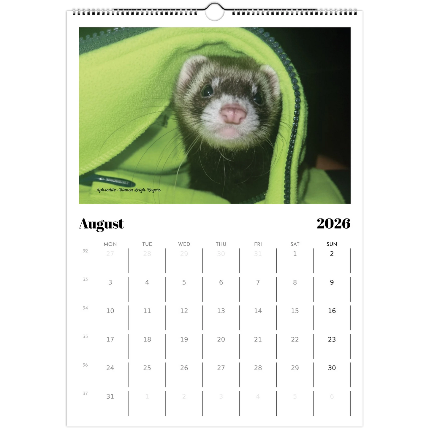 2026 Ferret Owners Australia Calendar
