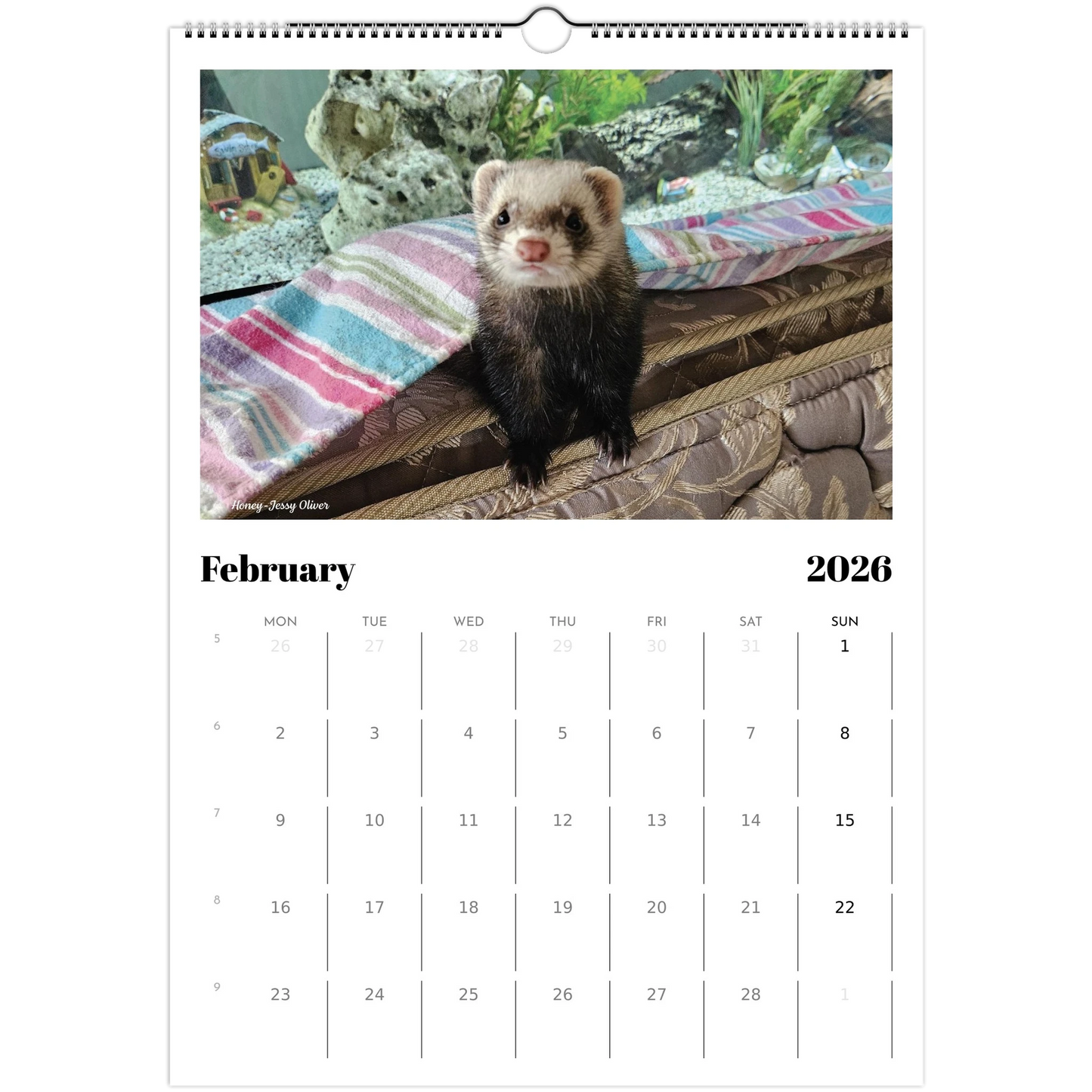 2026 Ferret Owners Australia Calendar