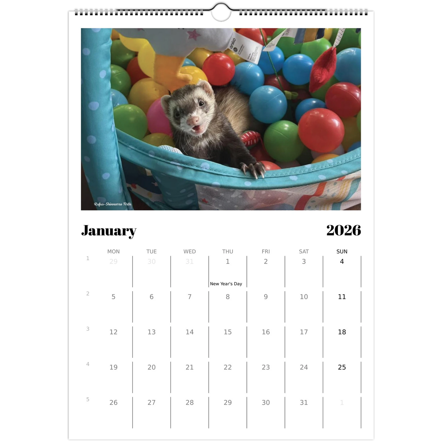 2026 Ferret Owners Australia Calendar