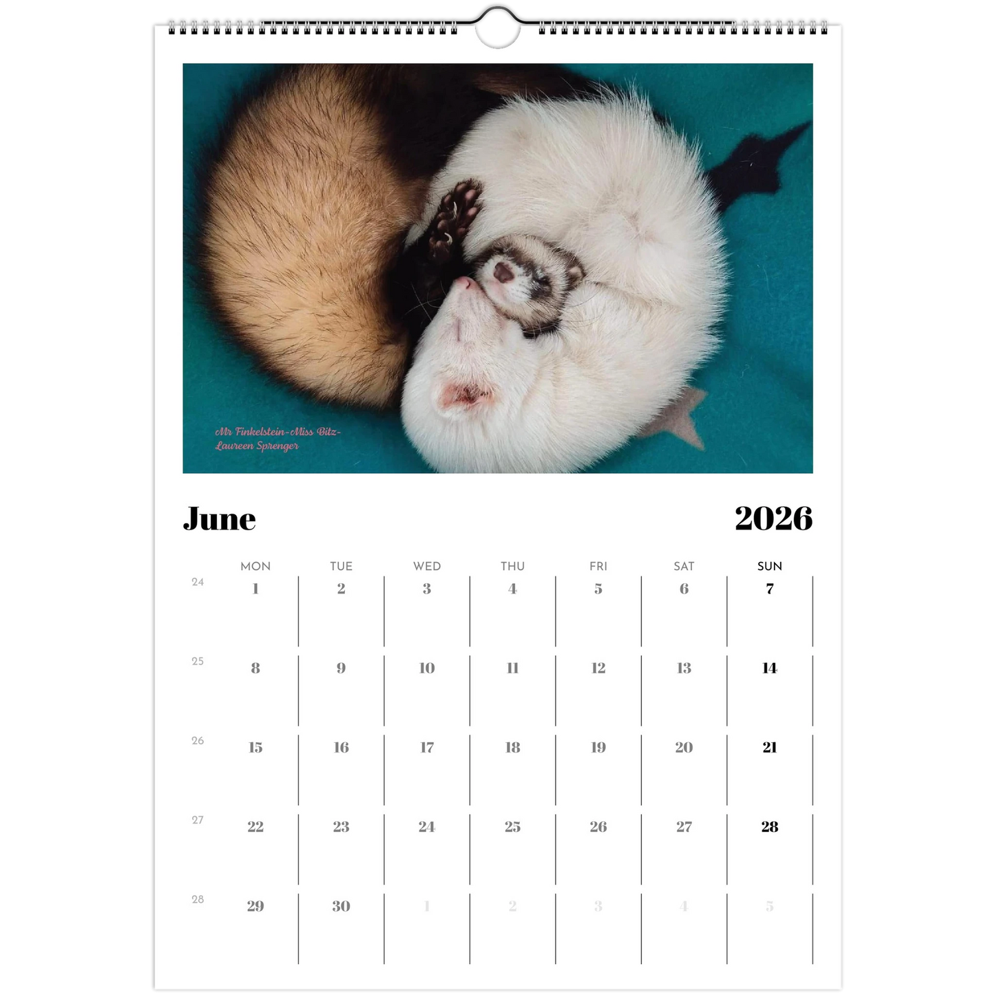 2026 Ferret Owners Australia Calendar