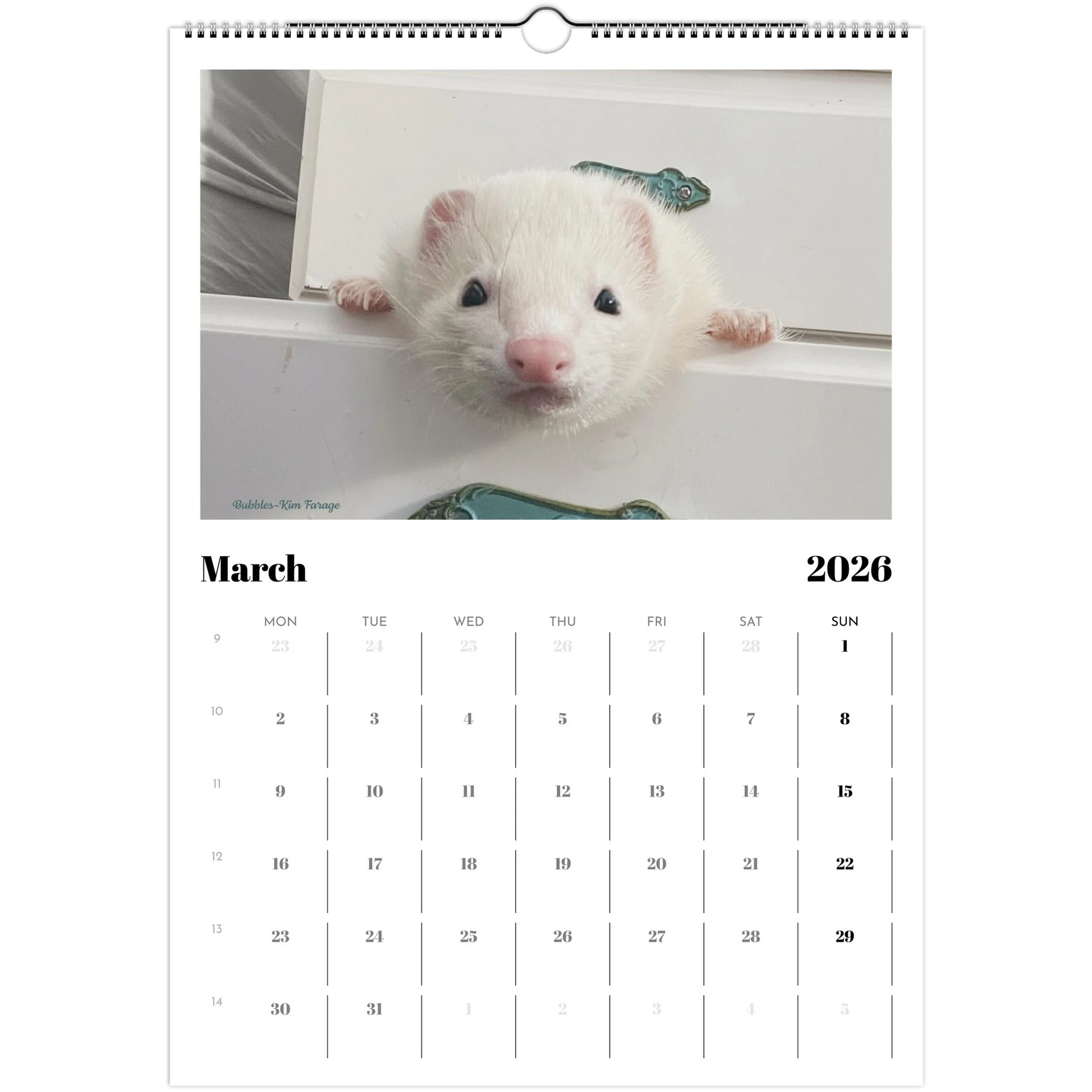 2026 Ferret Owners Australia Calendar