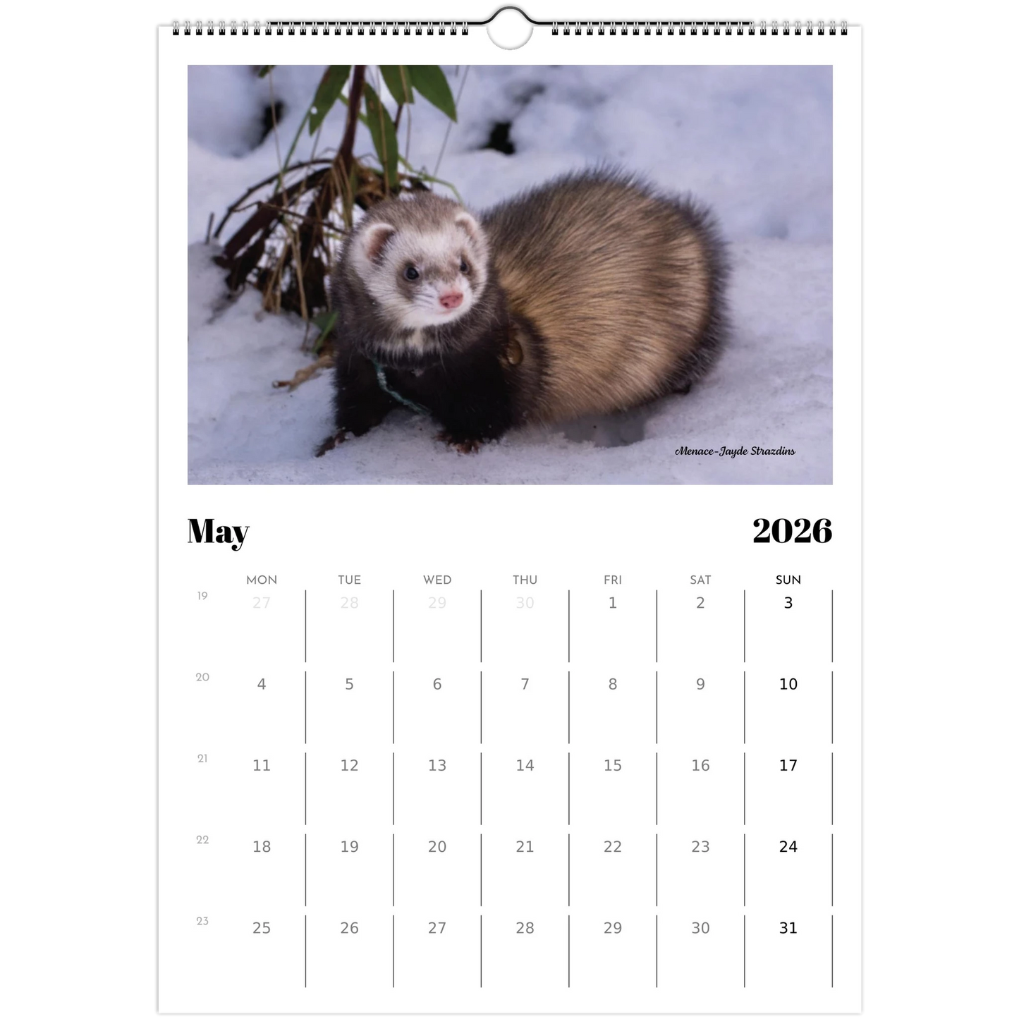 2026 Ferret Owners Australia Calendar