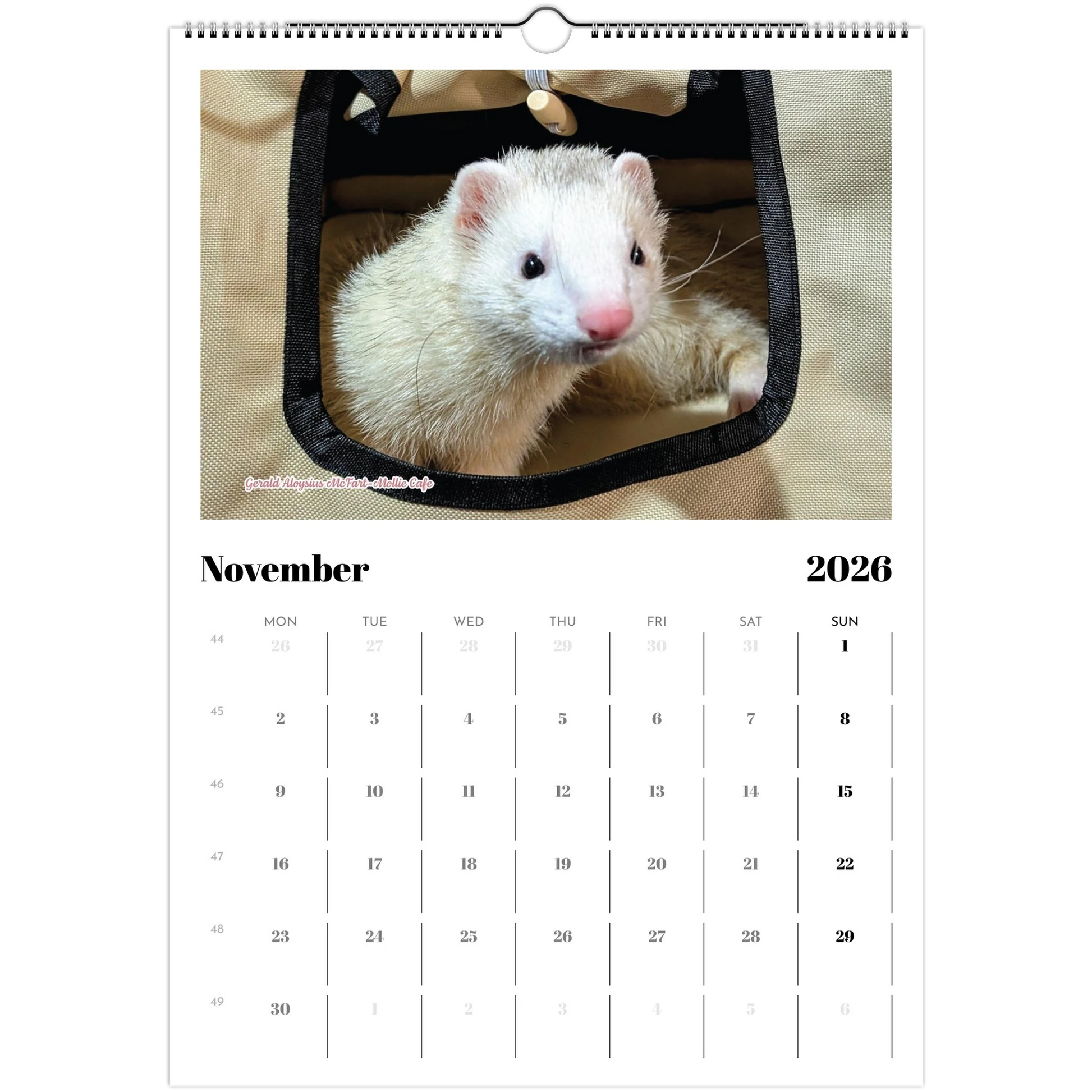 2026 Ferret Owners Australia Calendar