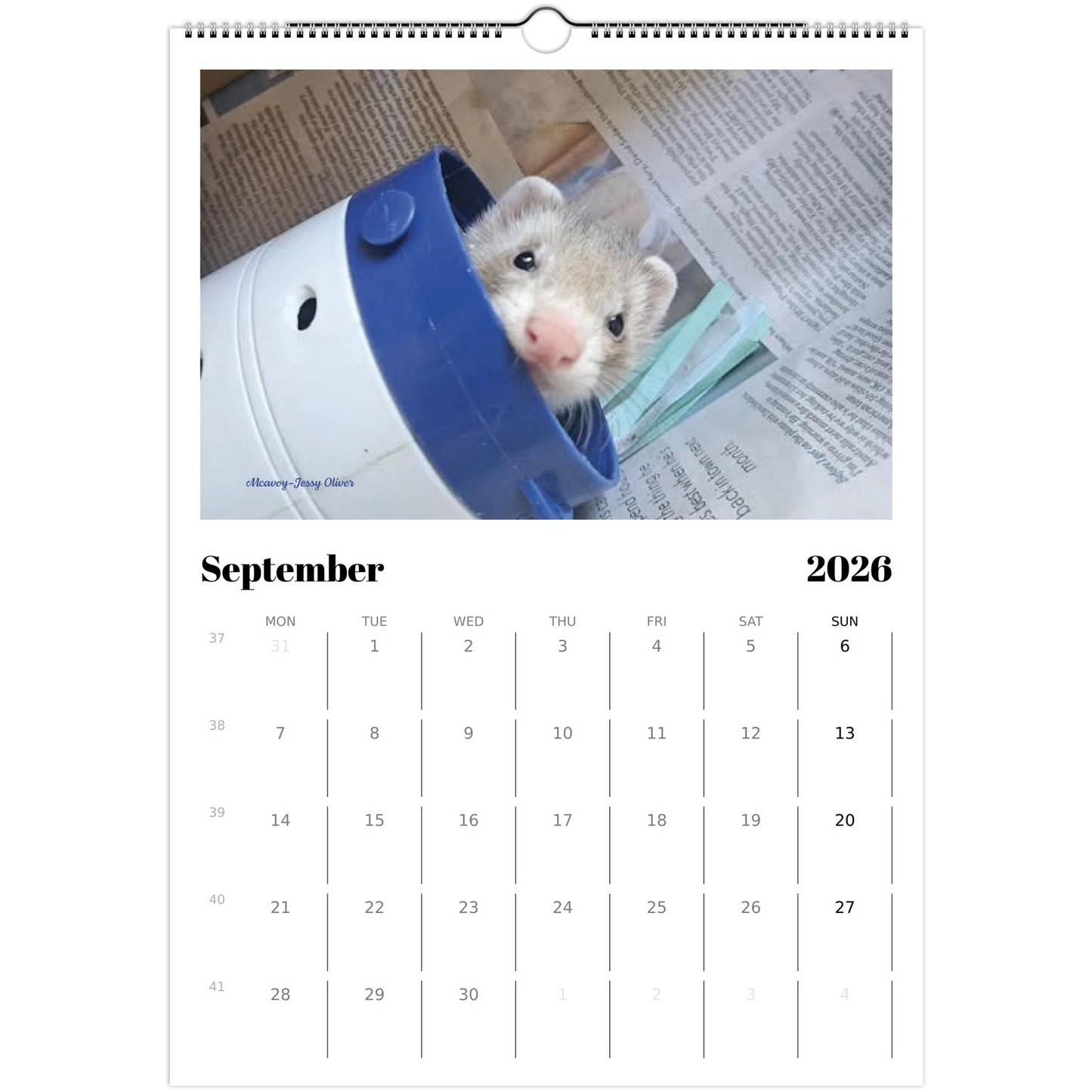 2026 Ferret Owners Australia Calendar